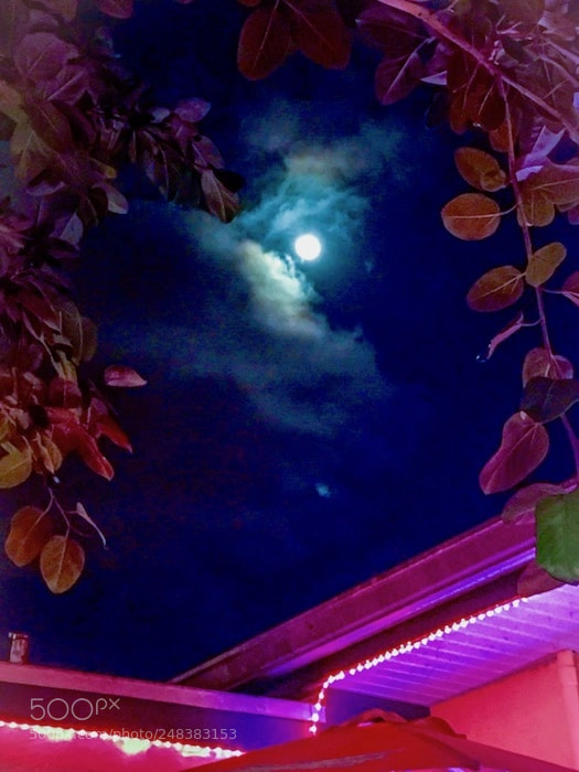 Apple iPhone 6 Plus sample photo. Moon over blues night photography