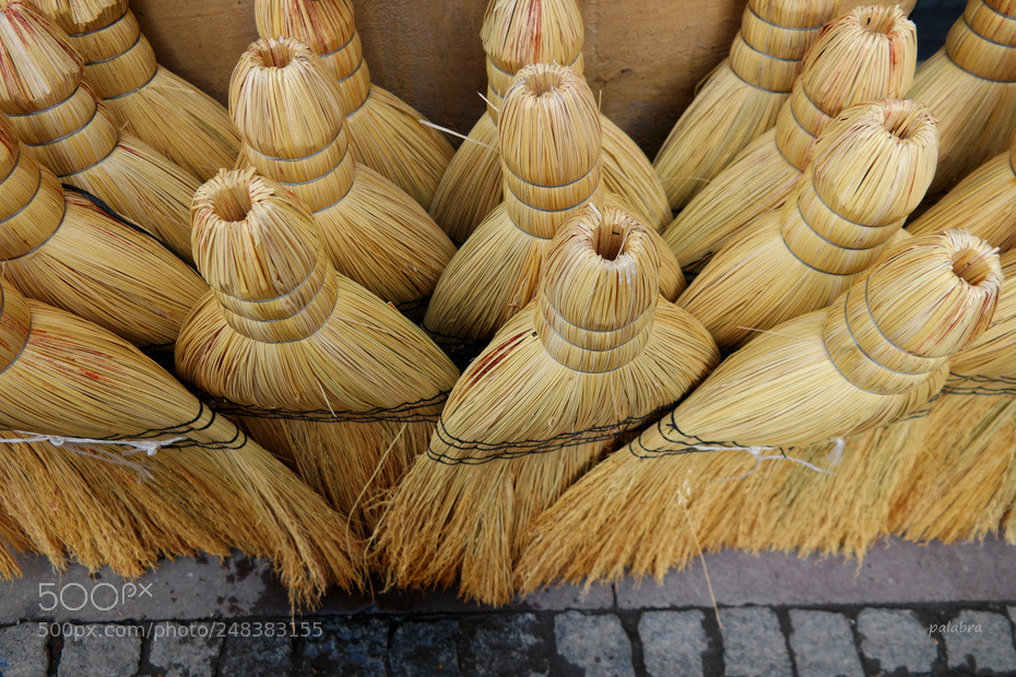 Samsung NX30 sample photo. ... photography