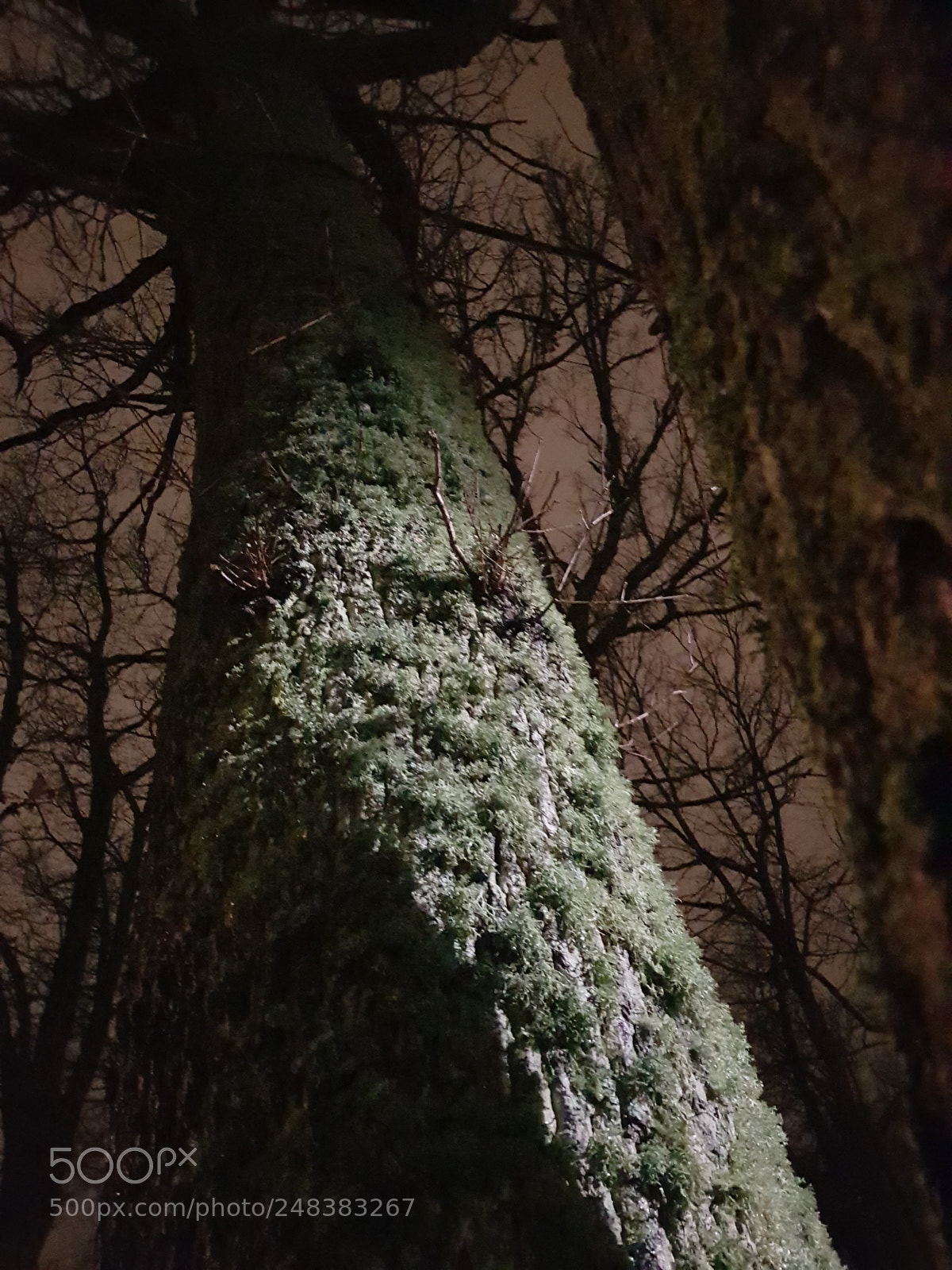 Samsung Galaxy S8 sample photo. Untitled photography