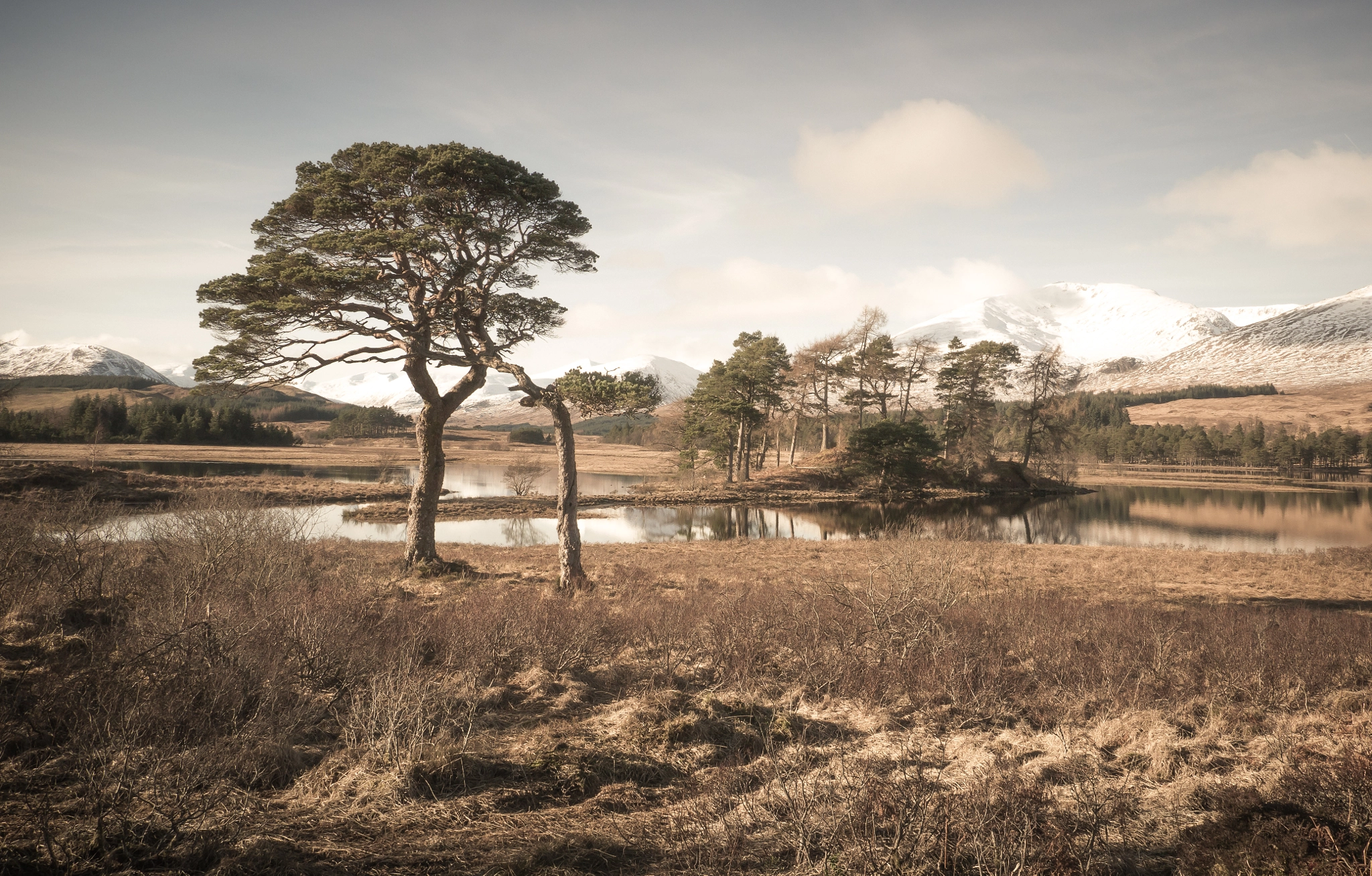 Panasonic Lumix DMC-GX1 sample photo. Loch tulla photography