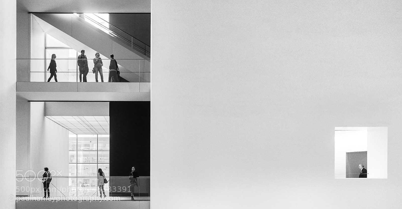 Sony a7 sample photo. Moma photography