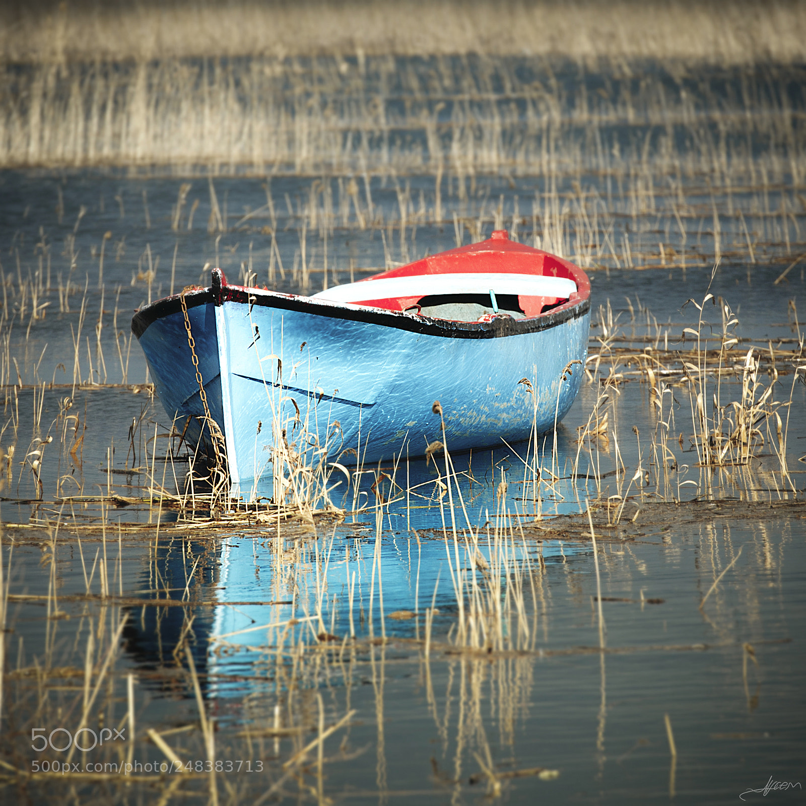 Nikon D3S sample photo. Rowing boat photography