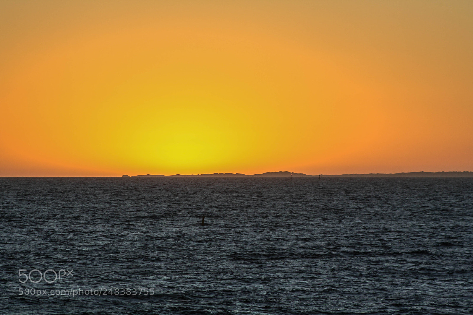 Canon EOS 1000D (EOS Digital Rebel XS / EOS Kiss F) sample photo. Rottnest silhouette photography