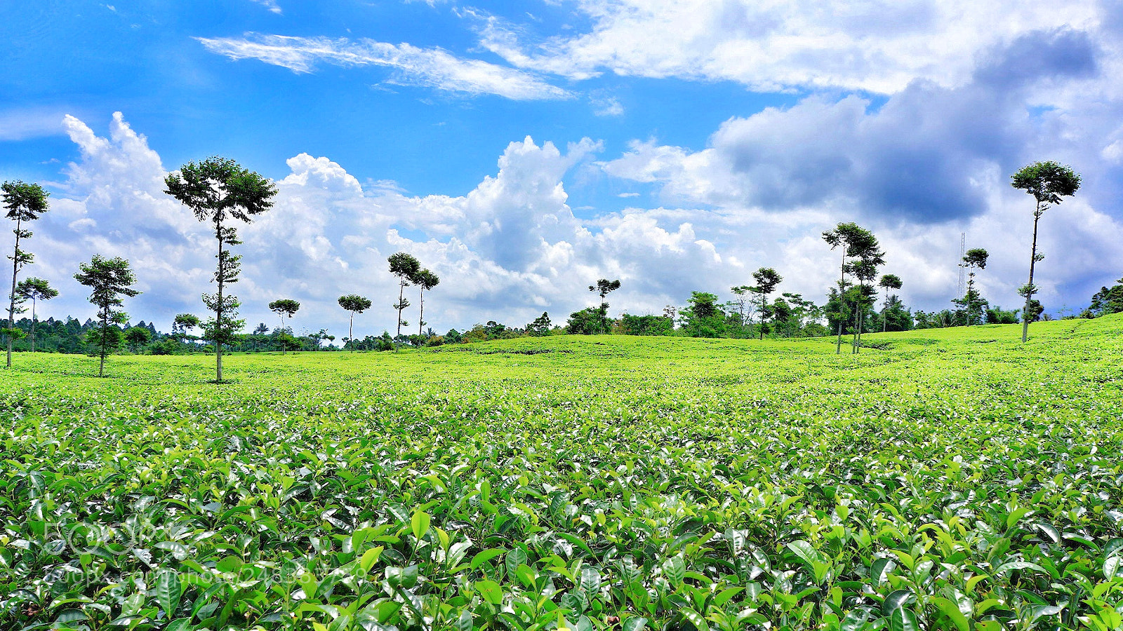Sony Alpha NEX-5N sample photo. Scenery photography