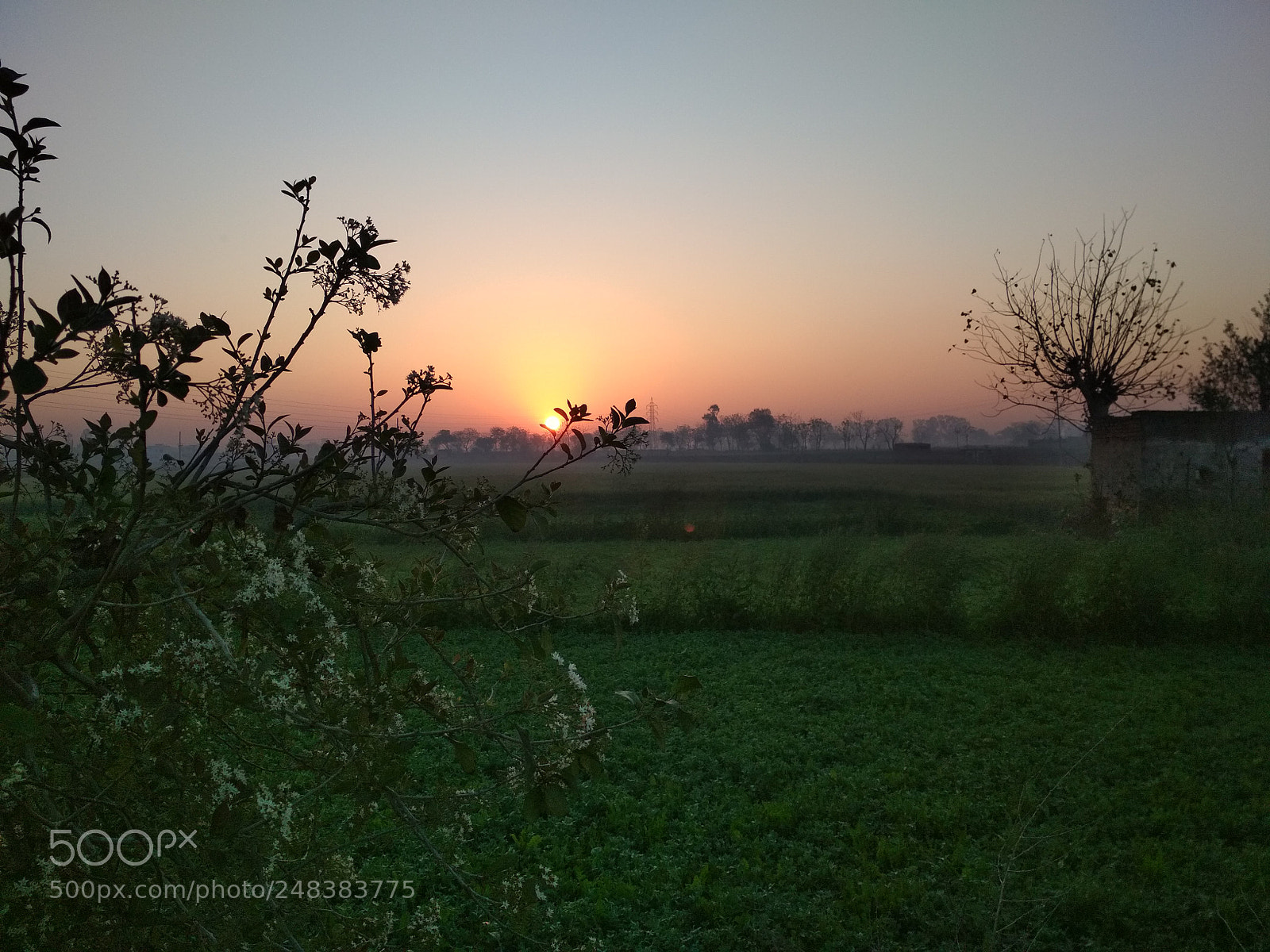 Xiaomi Redmi 4 Pro sample photo. Untitled photography