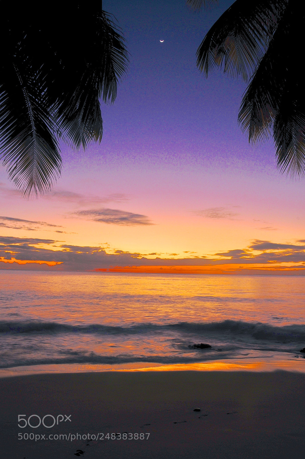 Nikon D300 sample photo. Sunset and moonrise over photography