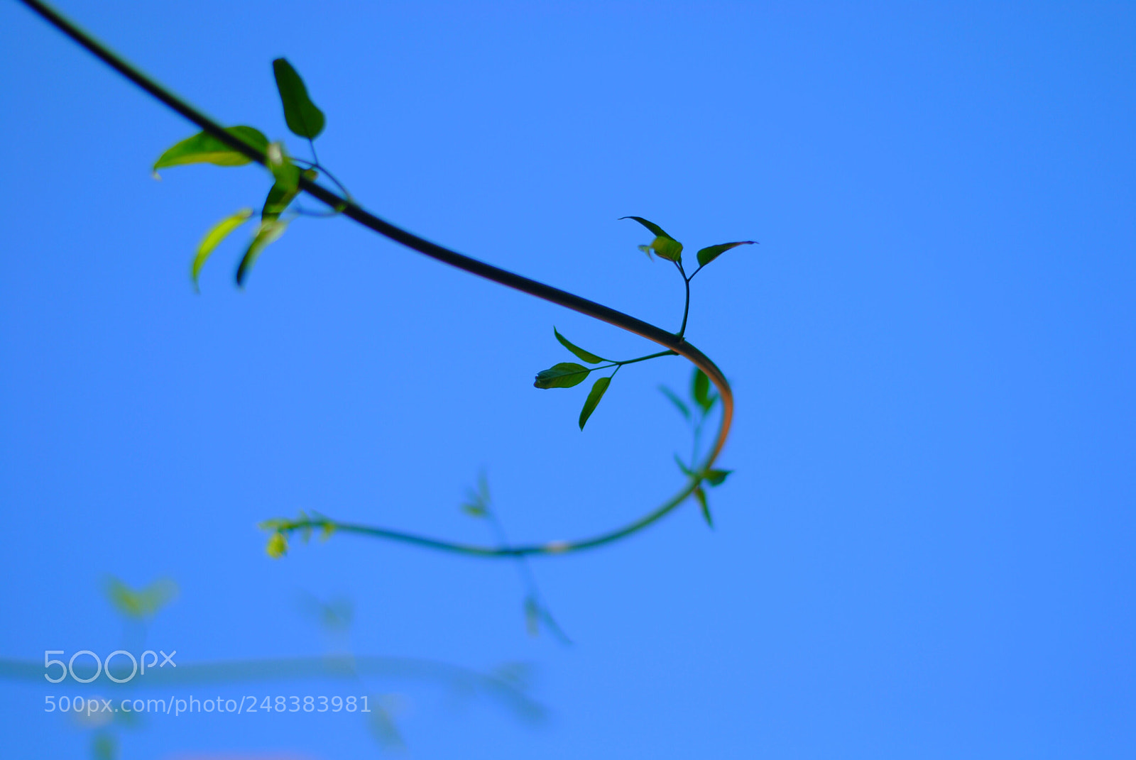 Nikon D3000 sample photo. Sky photography