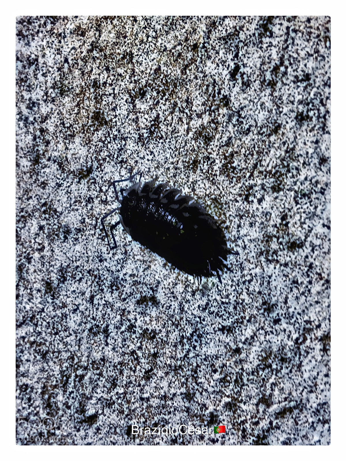 Apple iPhone 6s sample photo. Untitled photography