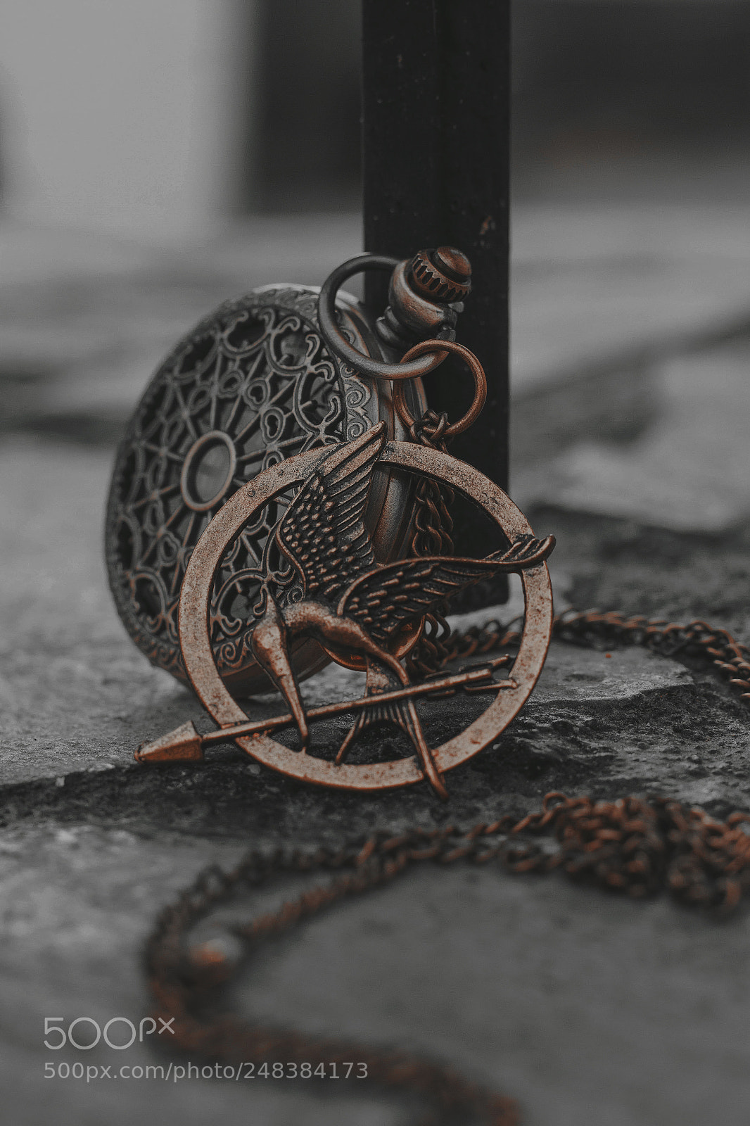 Canon EOS 1300D (EOS Rebel T6 / EOS Kiss X80) sample photo. Mockingjay pin - the photography