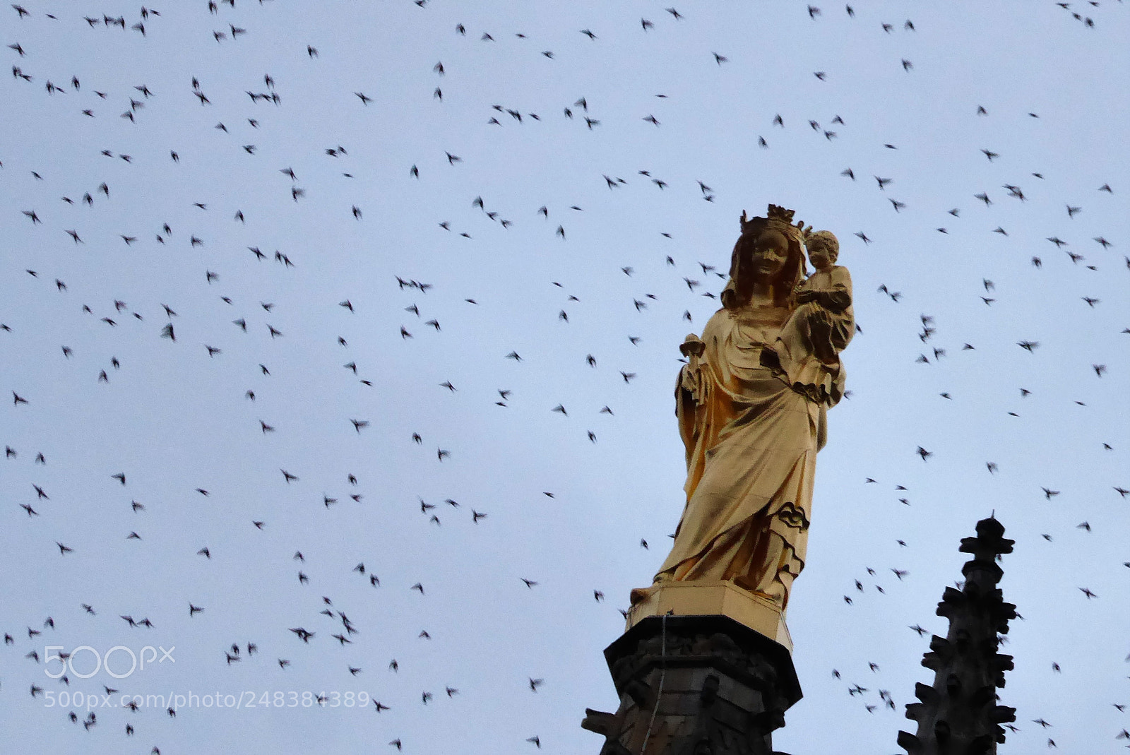 Panasonic Lumix DMC-ZS50 (Lumix DMC-TZ70) sample photo. () photography