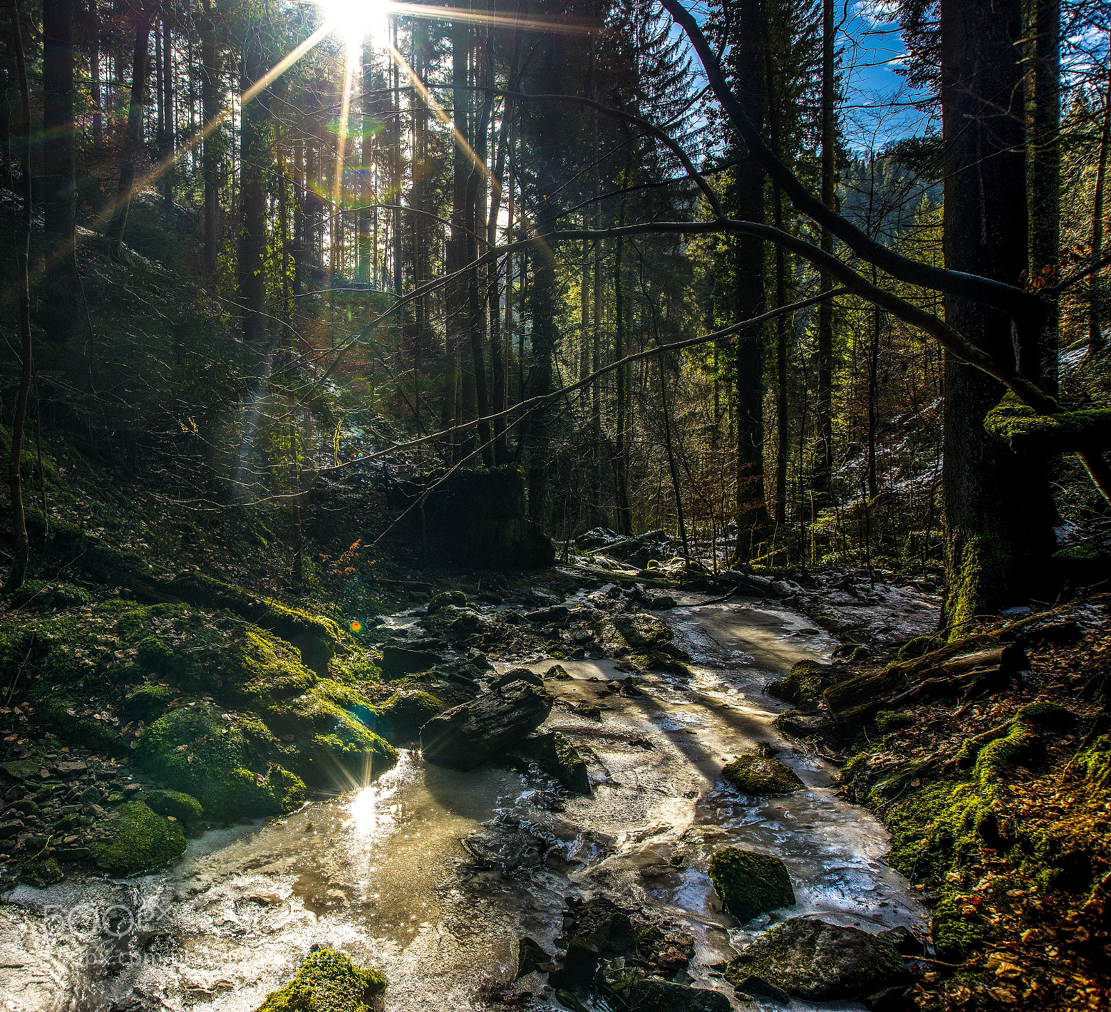 Nikon D800 sample photo. Frozen canyon - five photography