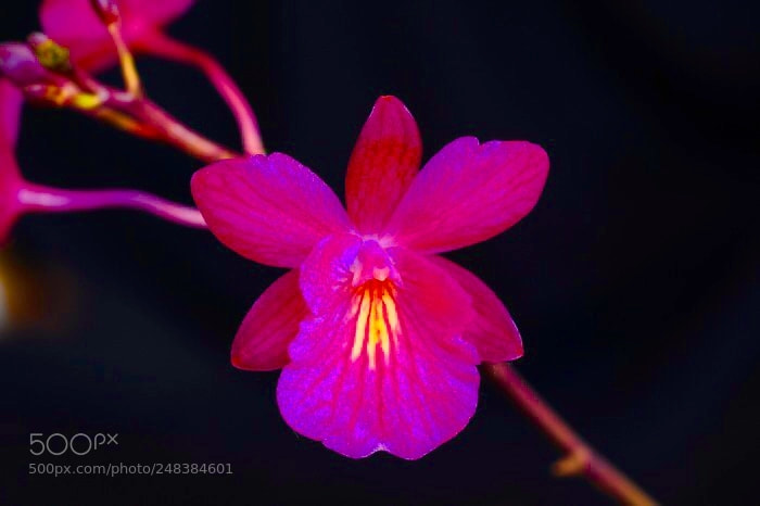 Nikon D300 sample photo. Untitled photography