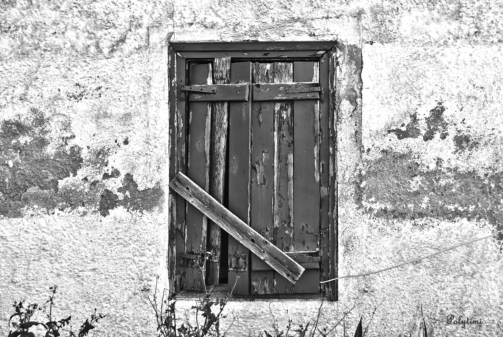 Nikon D3100 sample photo. Bourgi photography