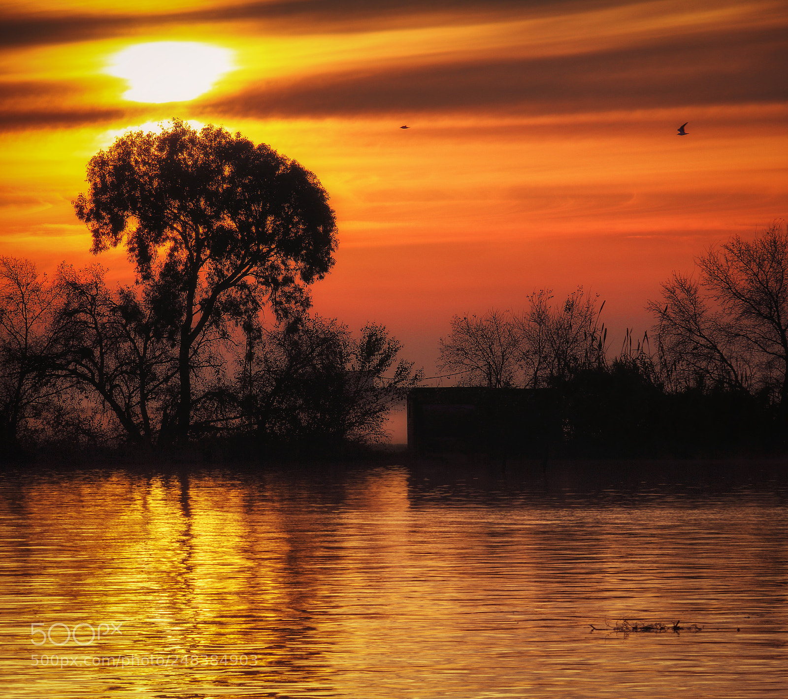 Canon EOS 550D (EOS Rebel T2i / EOS Kiss X4) sample photo. Amanecer en coria del photography