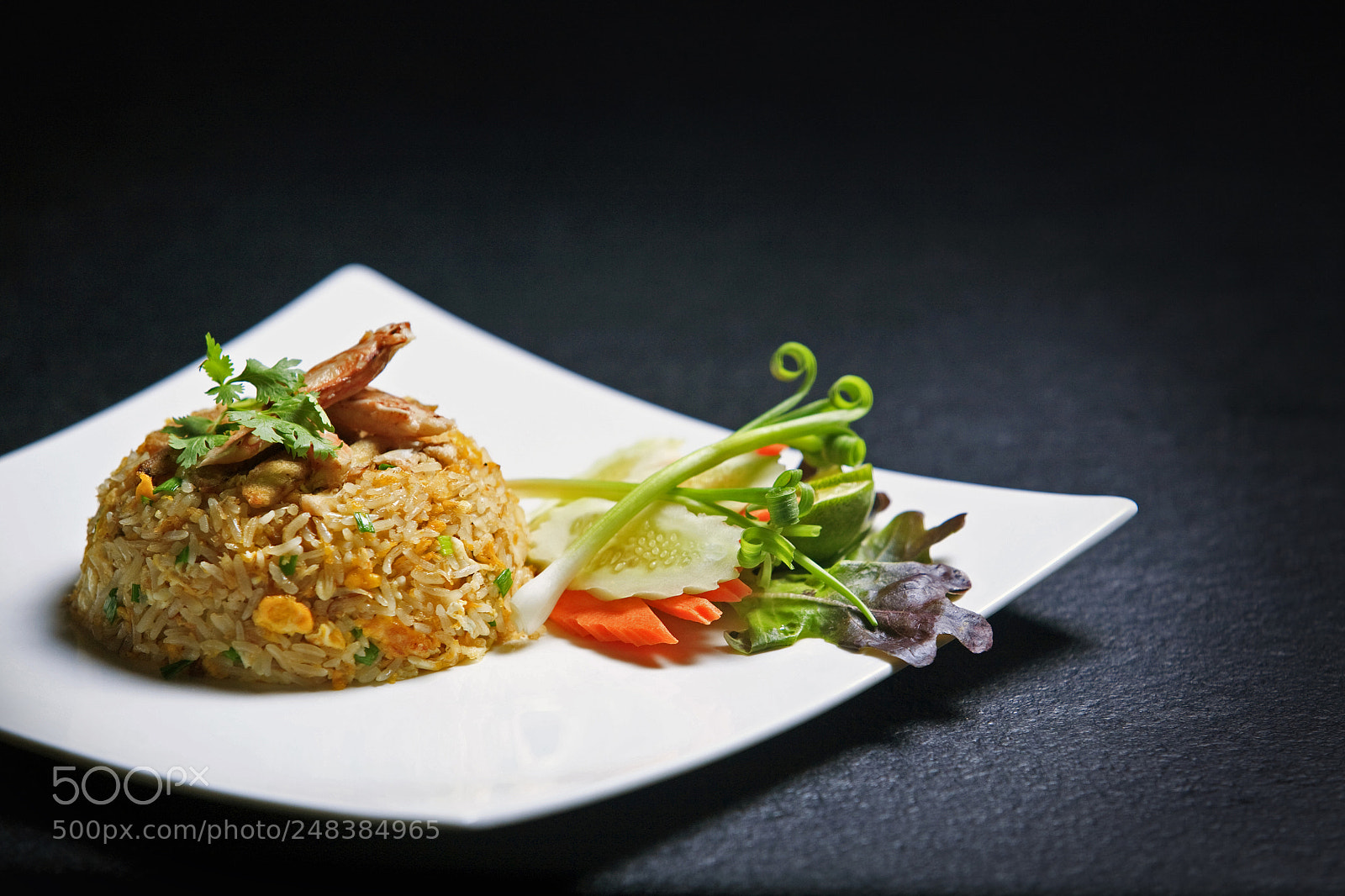 Canon EOS 5D sample photo. Crab fried rice photography