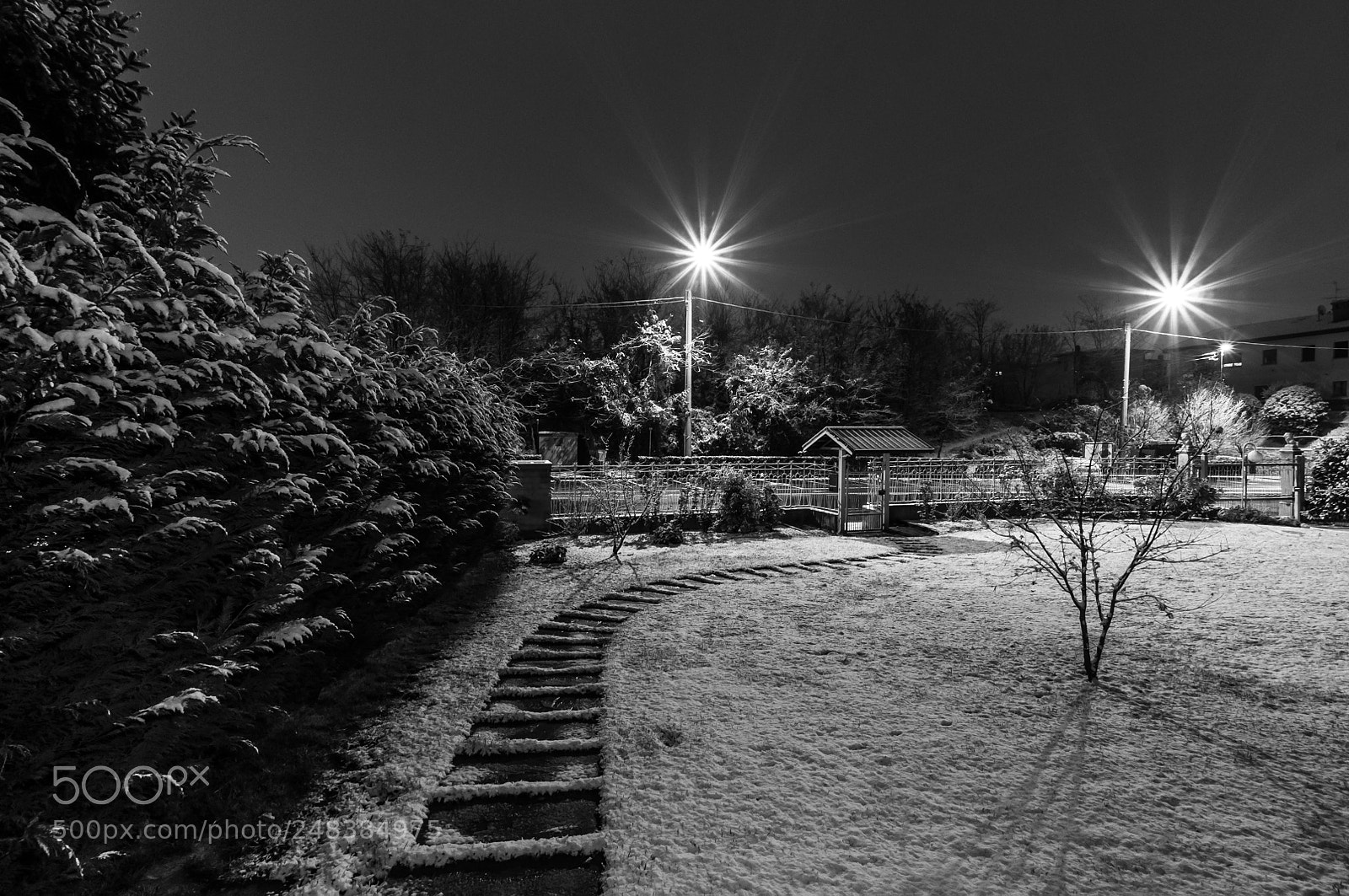 Nikon D90 sample photo. Sottile velo di neve photography