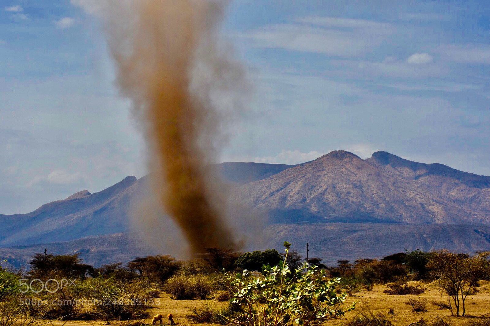 Nikon D7200 sample photo. Sand storm  @harar , ethiopia. photography