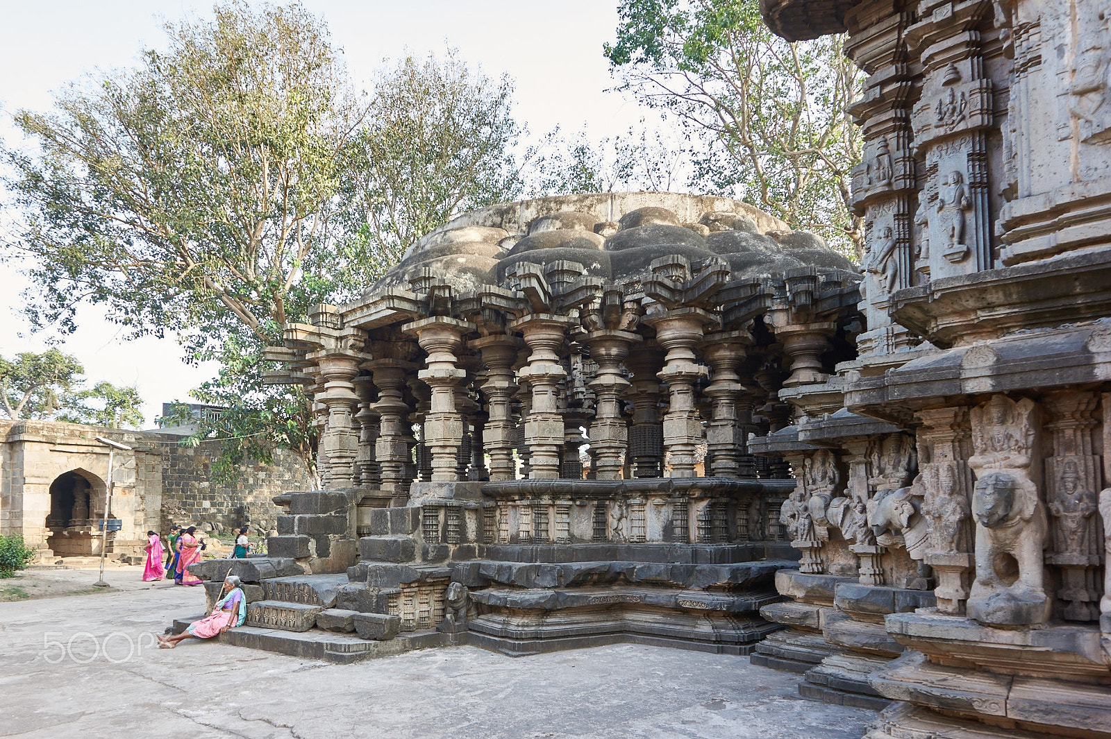 Sony Alpha NEX-3 sample photo. Khidrapur sun temple photography