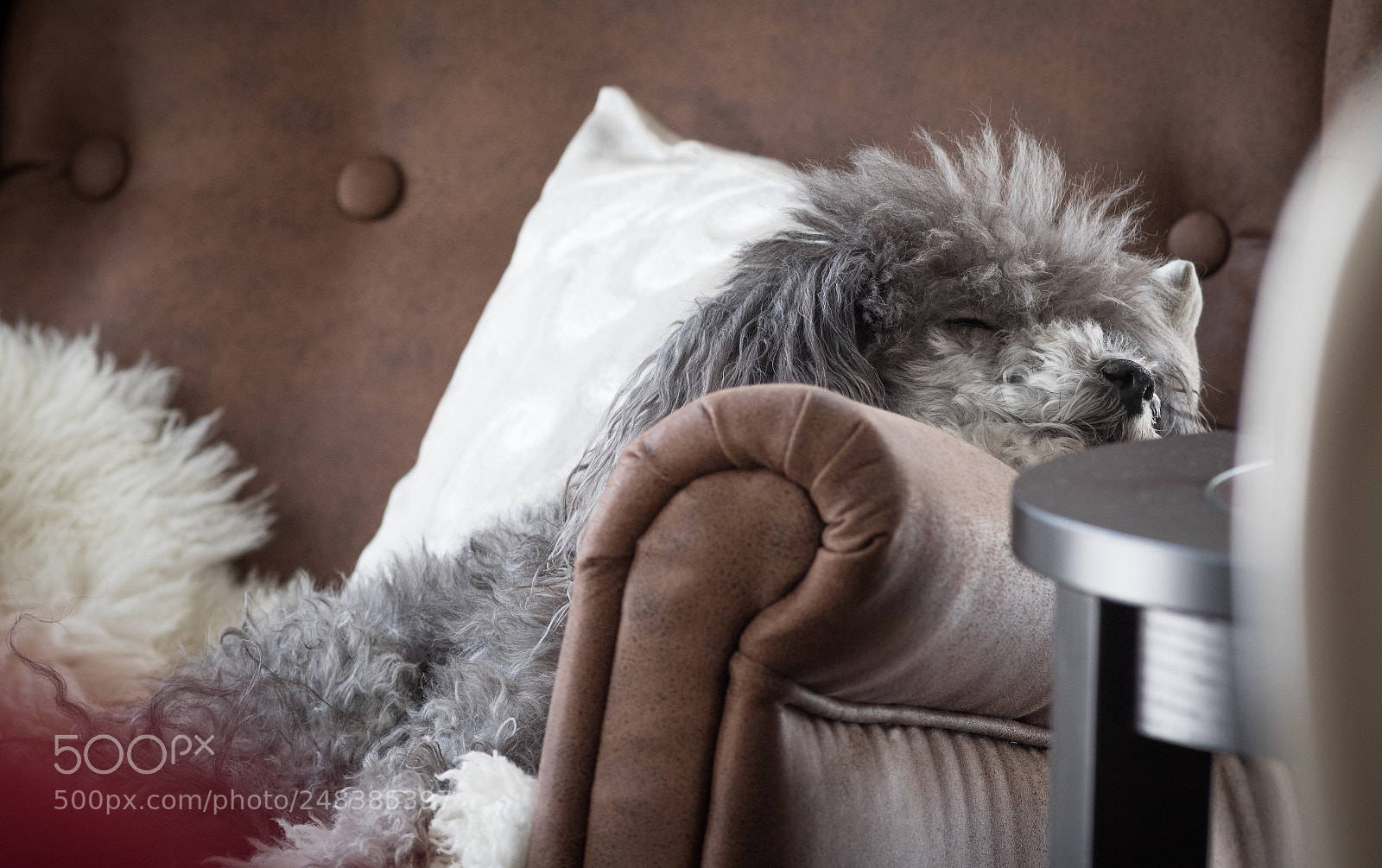 Canon EOS 600D (Rebel EOS T3i / EOS Kiss X5) sample photo. Better get that sleep photography