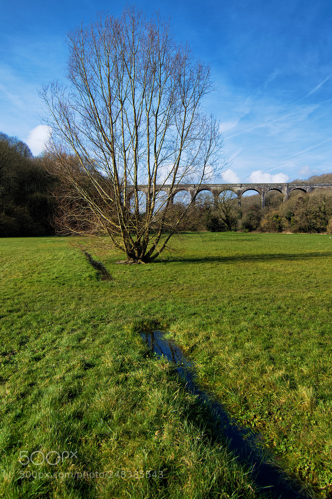 Nikon D3200 sample photo. Viaduct view photography