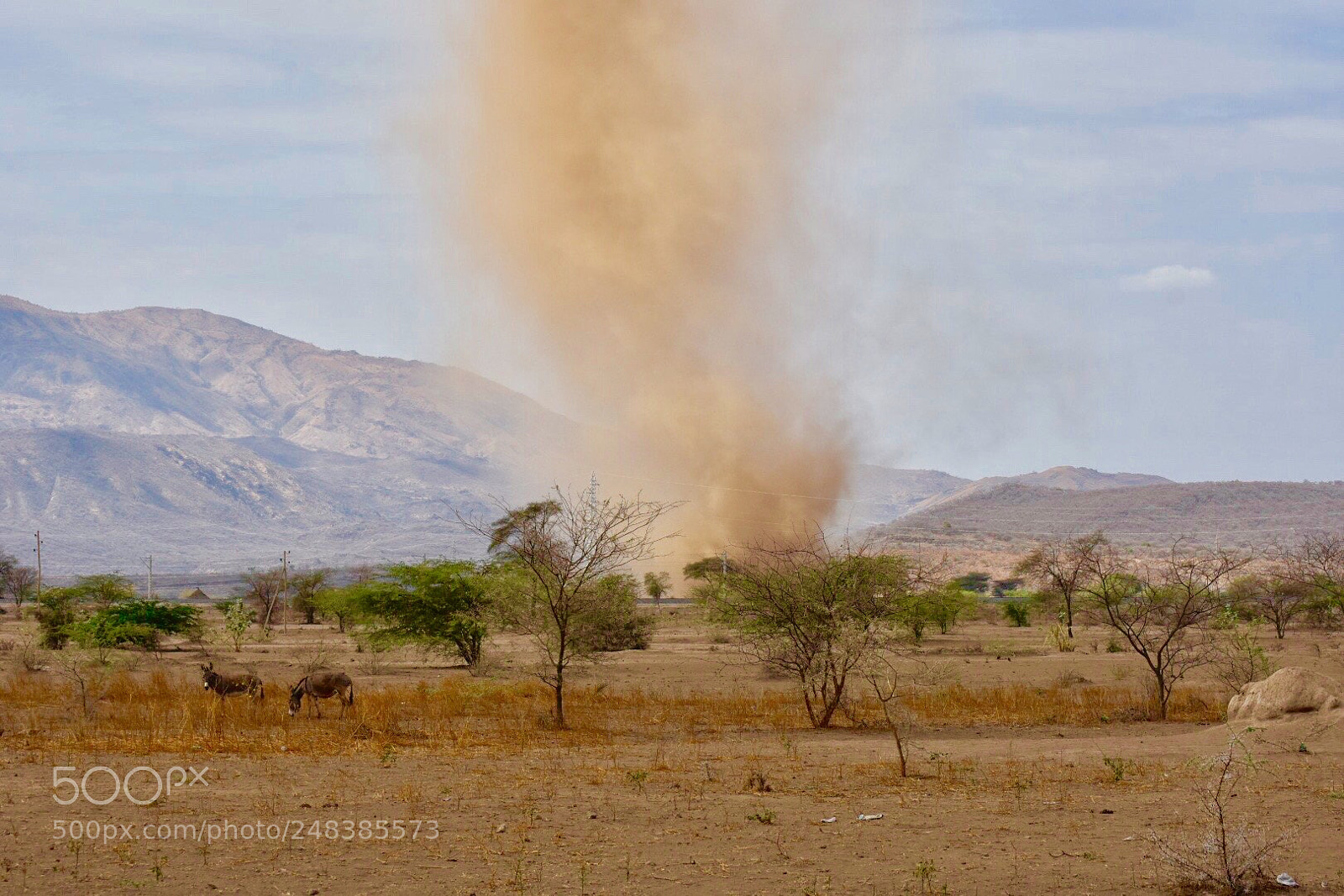 Nikon D7200 sample photo. Ethiopia , eastern region photography