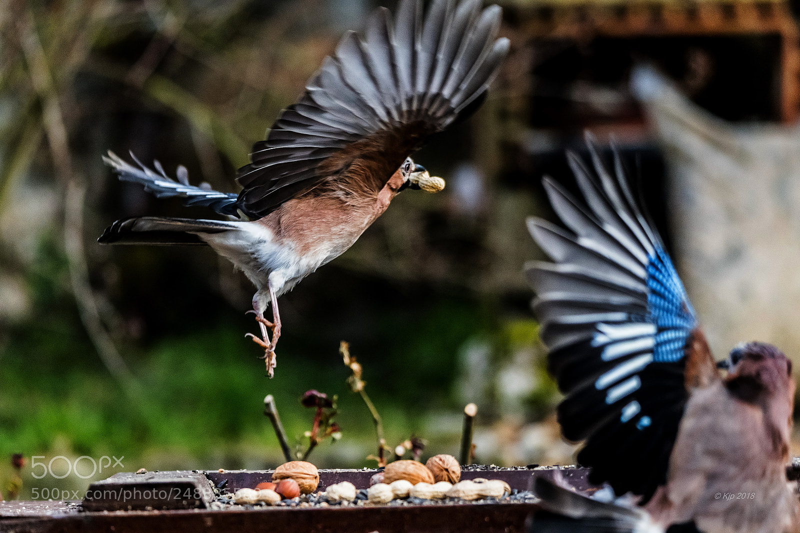 Nikon D850 sample photo. 8a0_9811_0.jpg photography