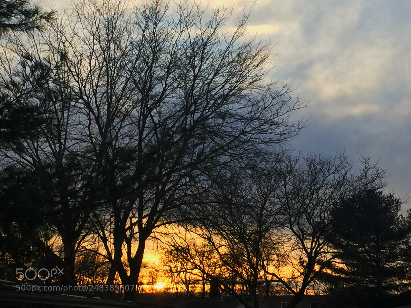 Apple iPhone 6 Plus sample photo. Evening photography
