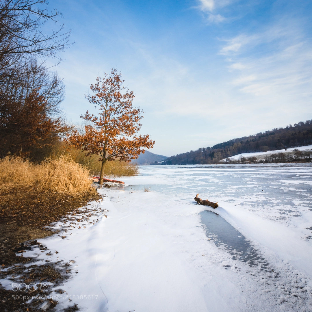Canon EOS 700D (EOS Rebel T5i / EOS Kiss X7i) sample photo. Frozen photography