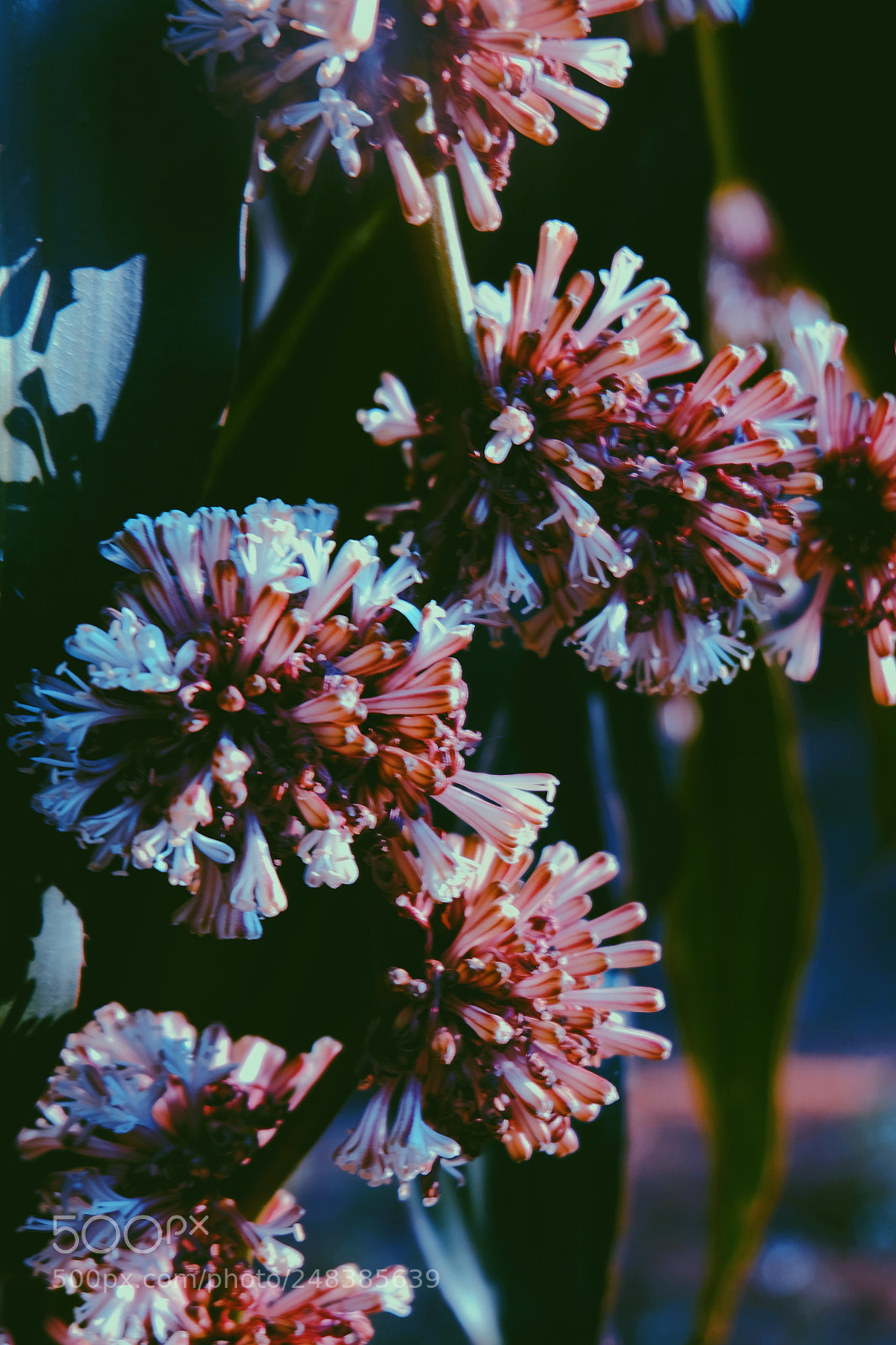 Fujifilm X-T1 sample photo. Untitled photography