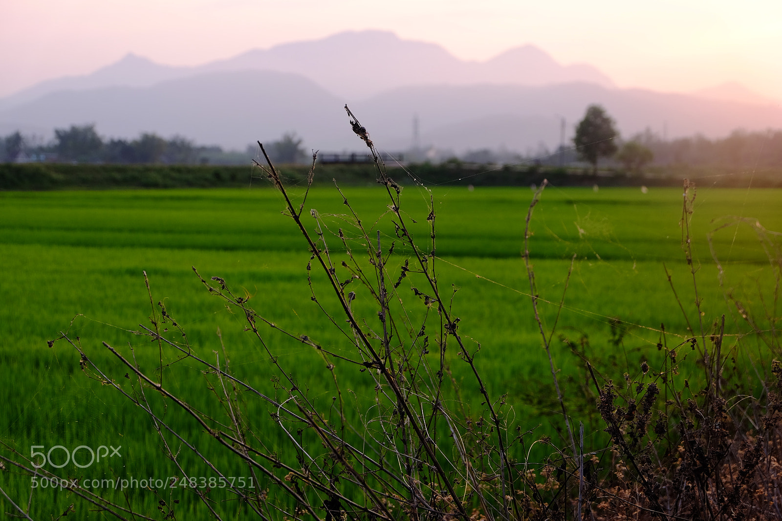 Fujifilm X-T1 sample photo. Untitled photography