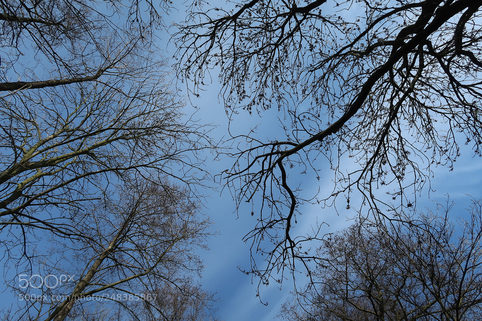 Canon PowerShot G7 X Mark II sample photo. Blue sky photography