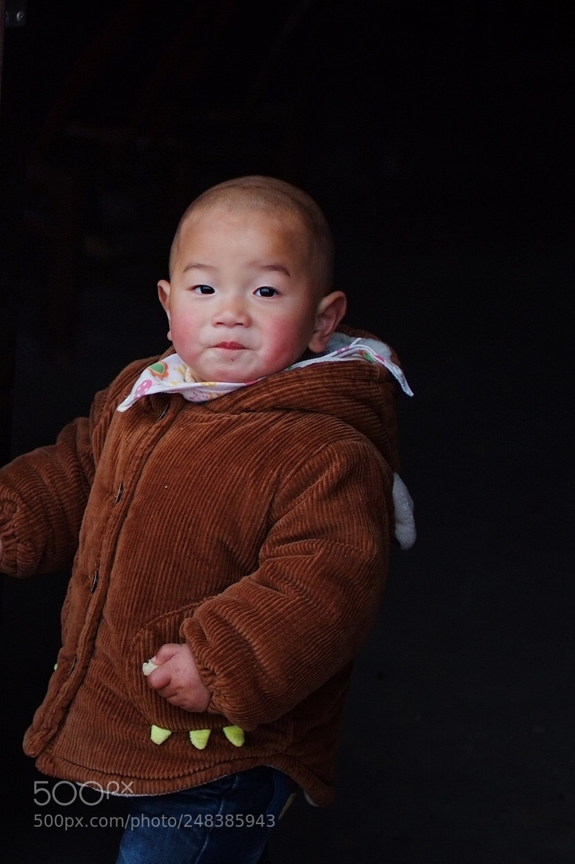 Fujifilm FinePix S5 Pro sample photo. Untitled photography