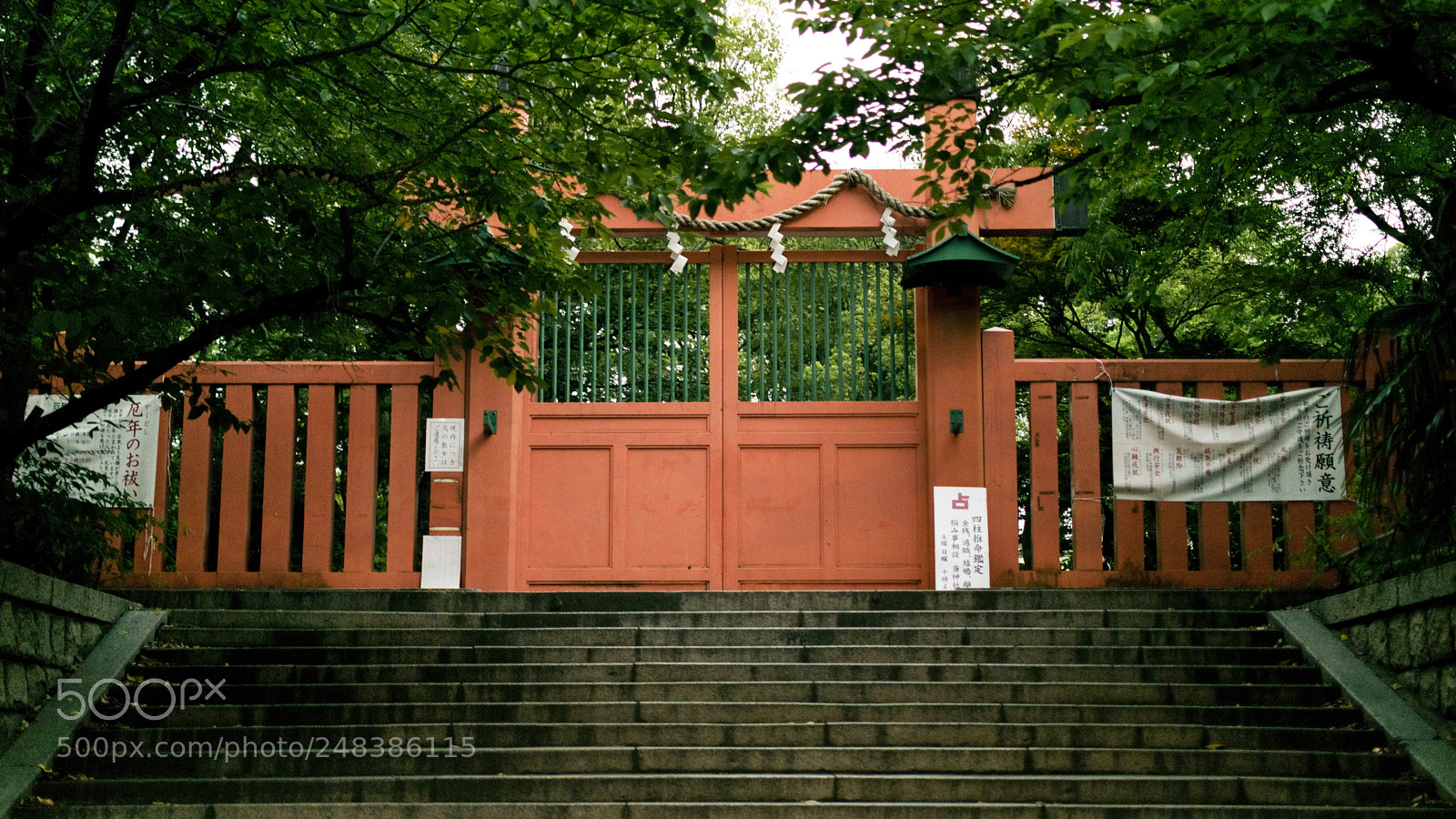 Nikon D5300 sample photo. Gate photography
