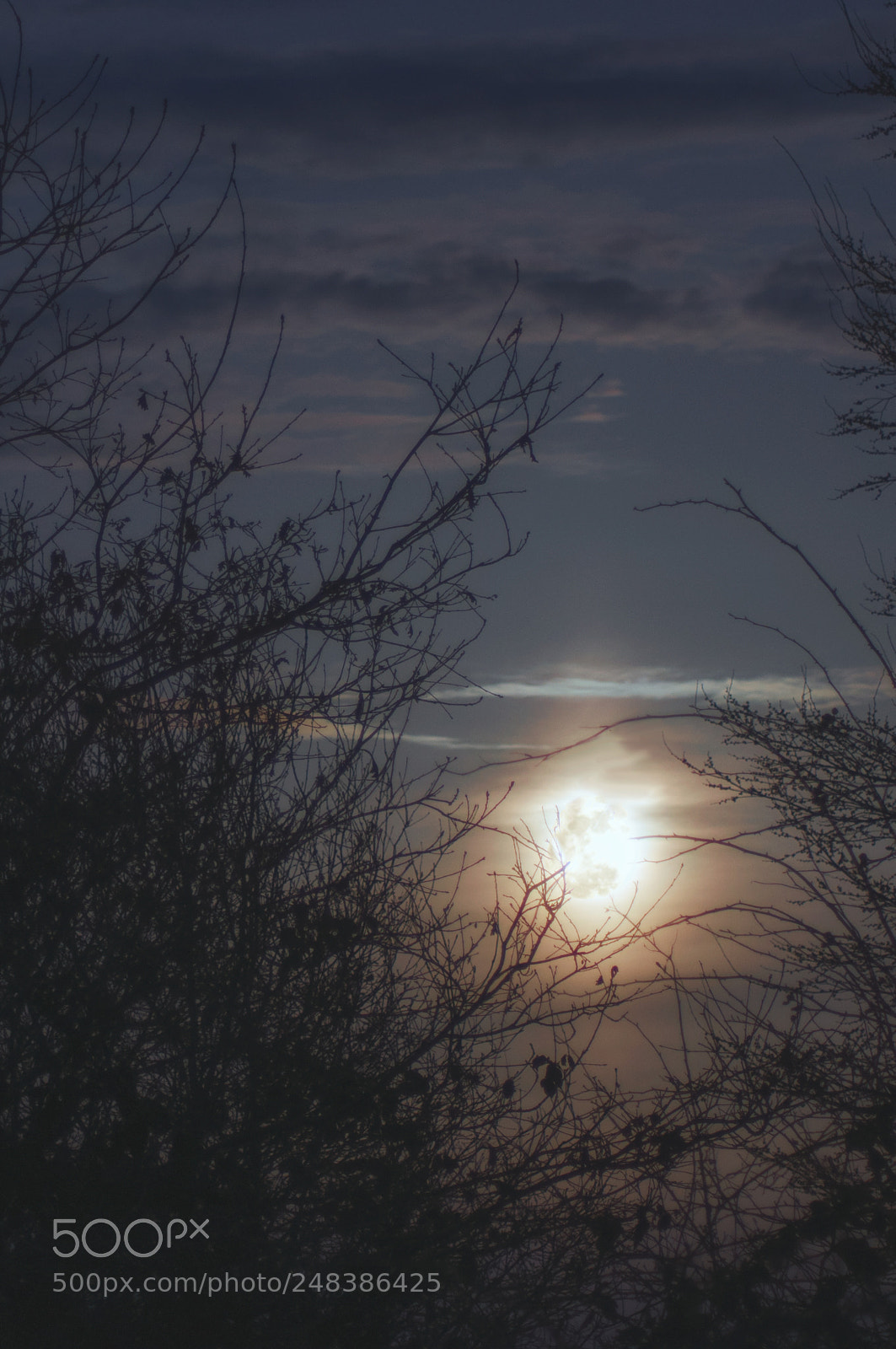 Nikon D5000 sample photo. To the moon photography