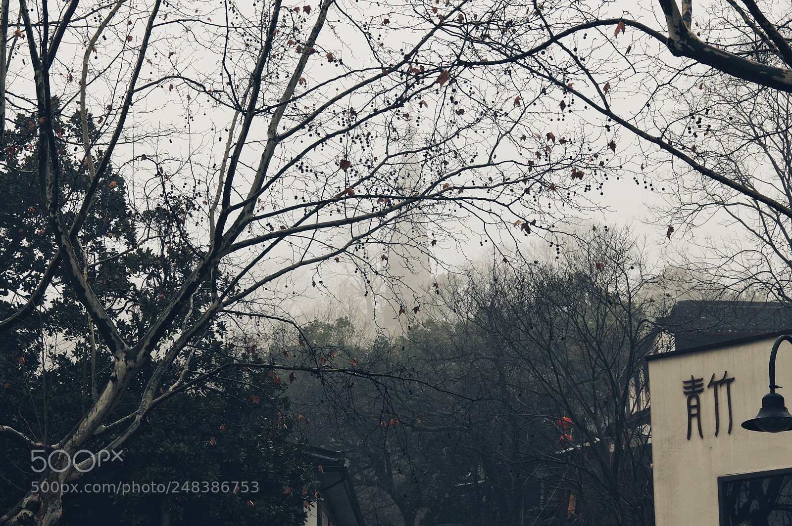 Pentax K-3 II sample photo. Untitled photography
