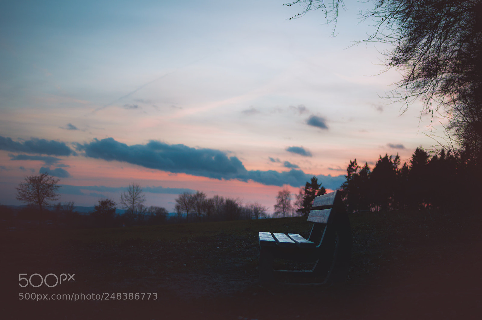 Nikon D5000 sample photo. I have a bench photography