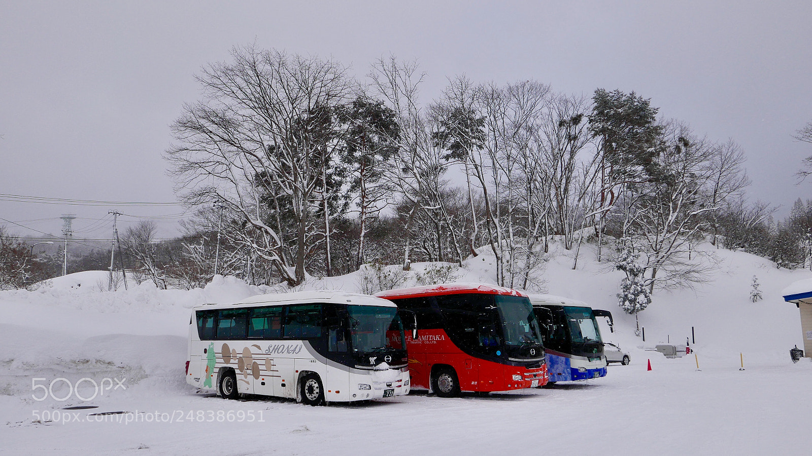 Leica D-Lux (Typ 109) sample photo. 雪后。。。 photography