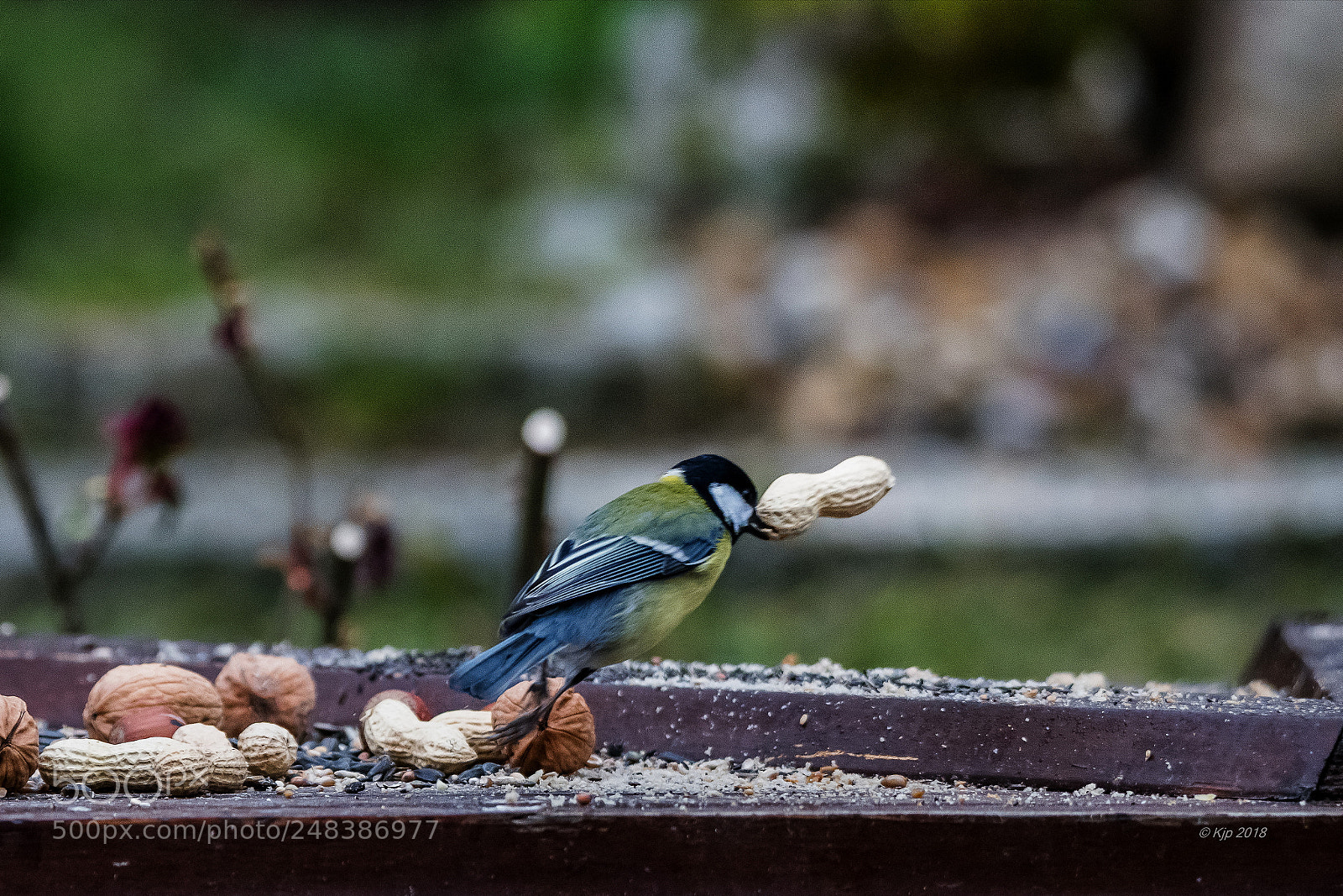 Nikon D850 sample photo. _8a09414_0.jpg photography