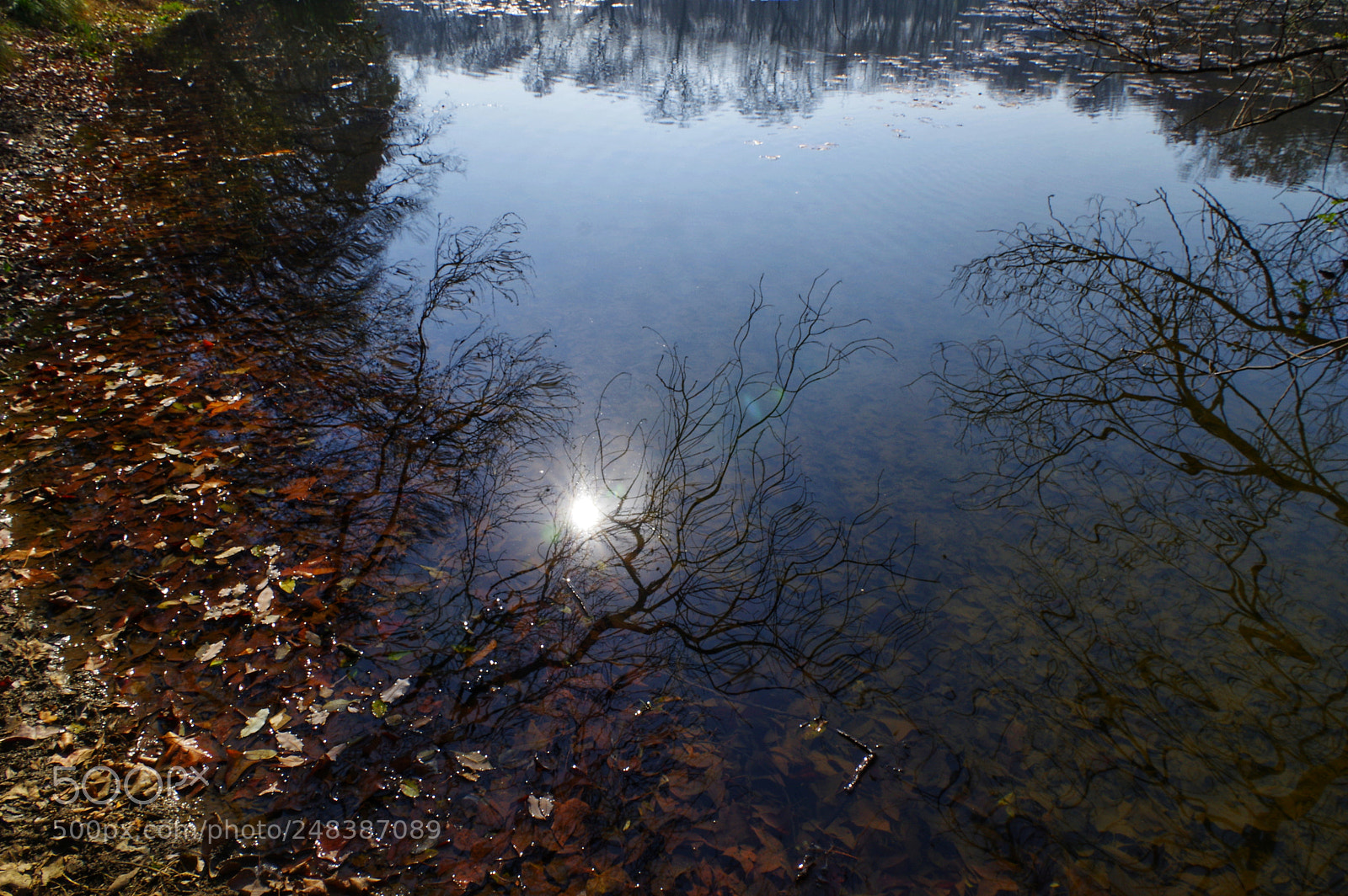 Pentax K-3 II sample photo. Untitled photography