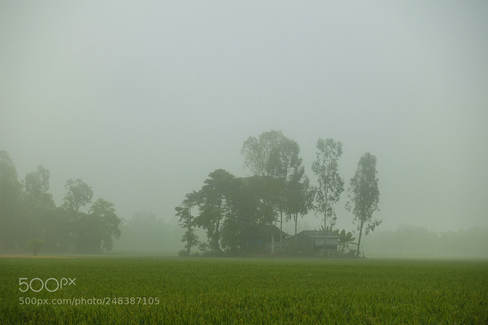 Sony DSC-RX100M5 sample photo. House in the mist photography