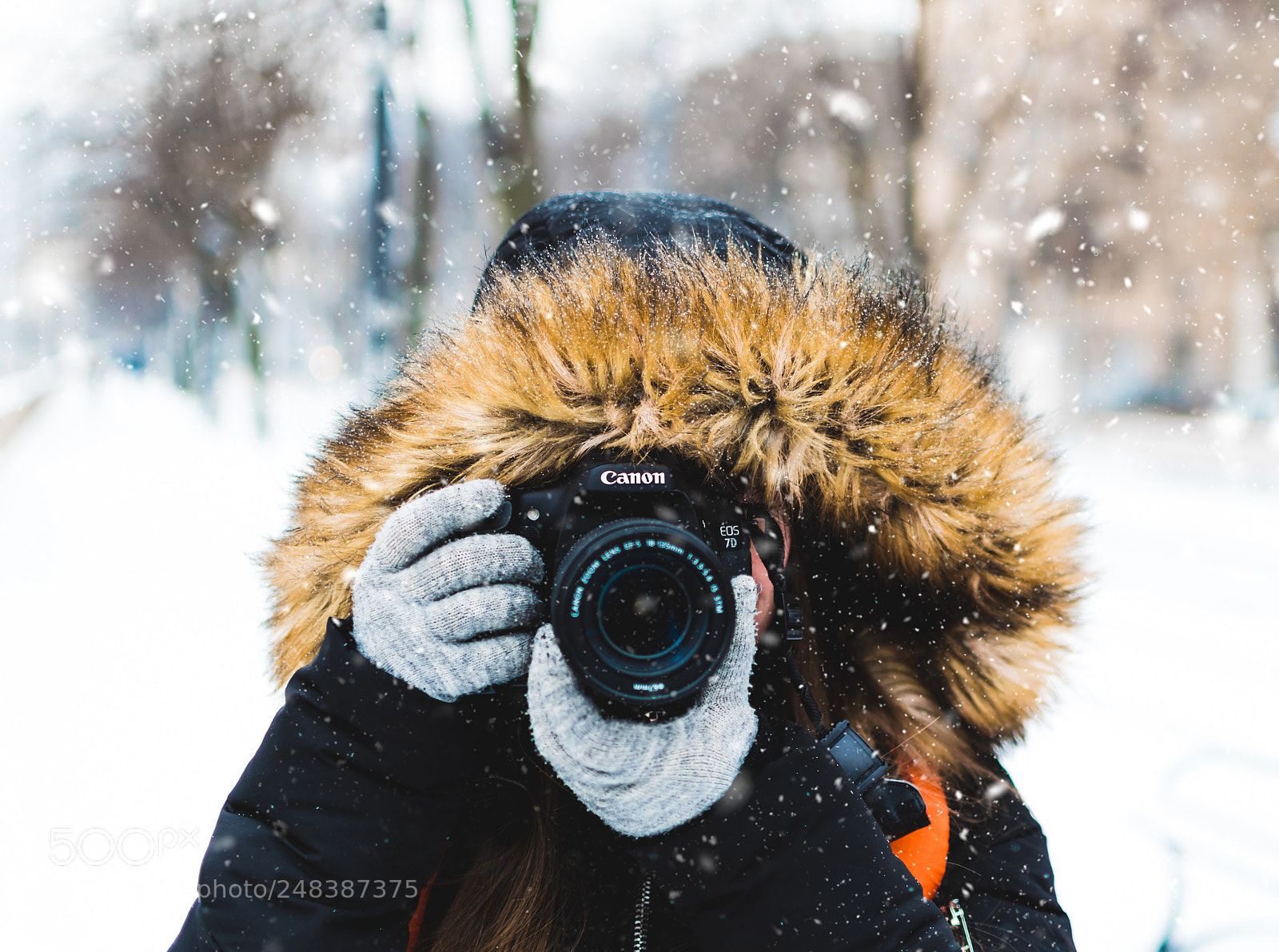 Nikon D5300 sample photo. Snow and winter.png photography