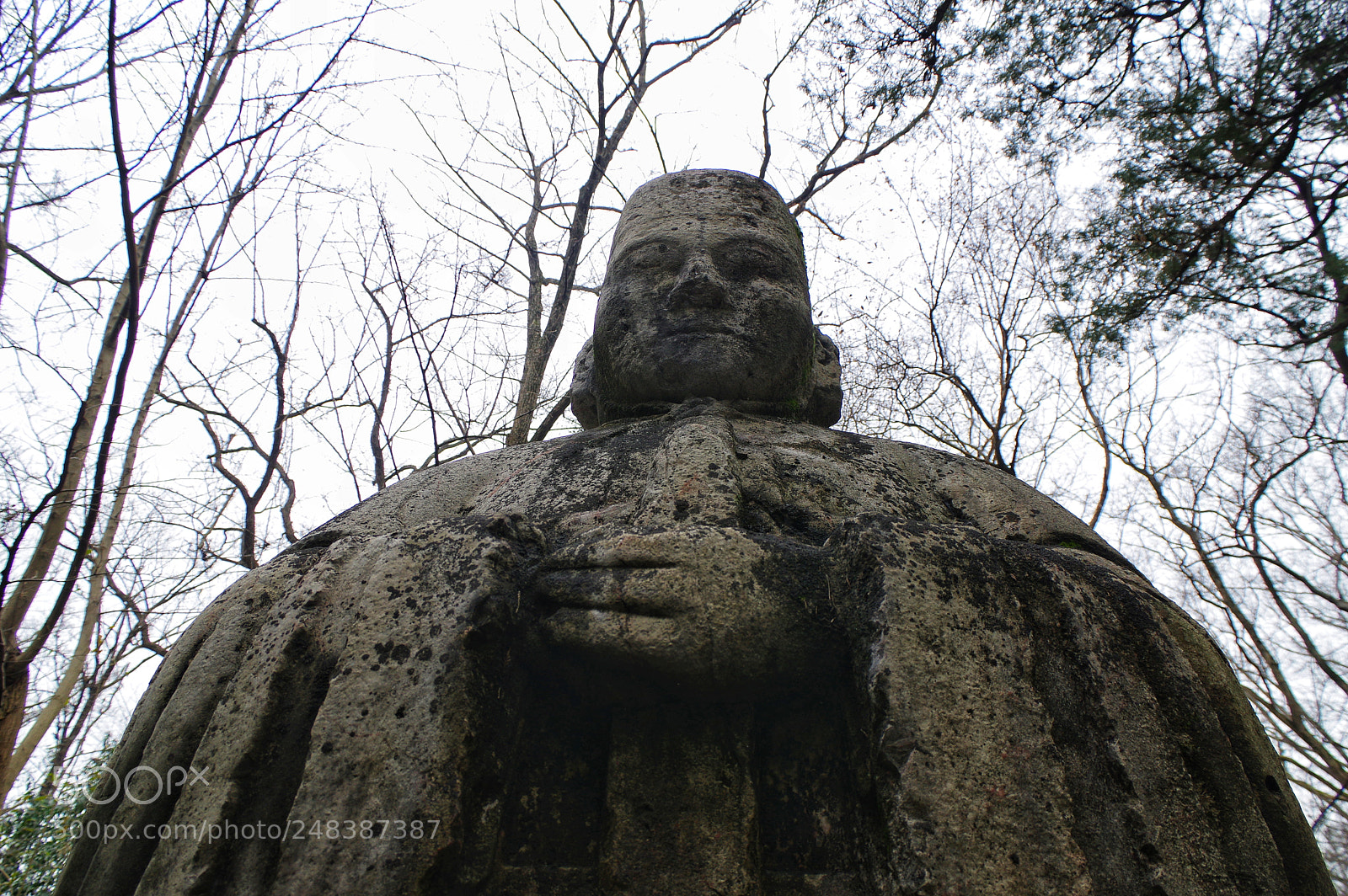 Pentax K-3 II sample photo. Untitled photography