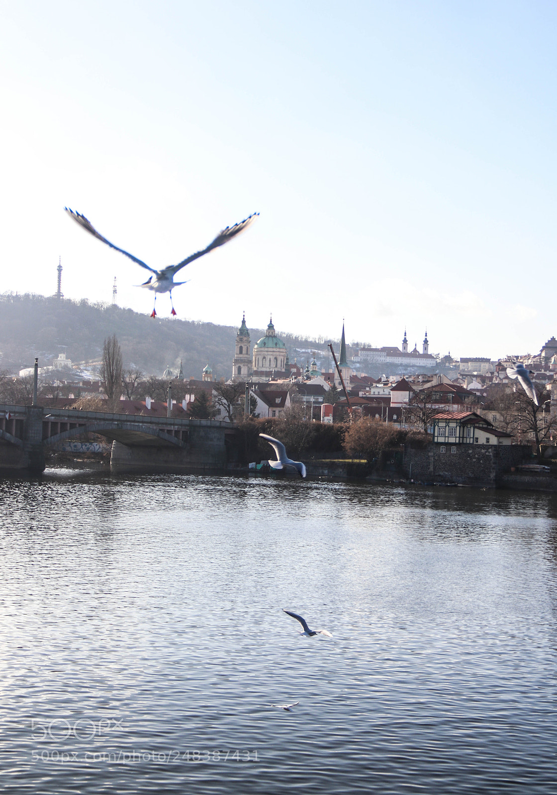 Canon EOS 80D sample photo. Prague photography