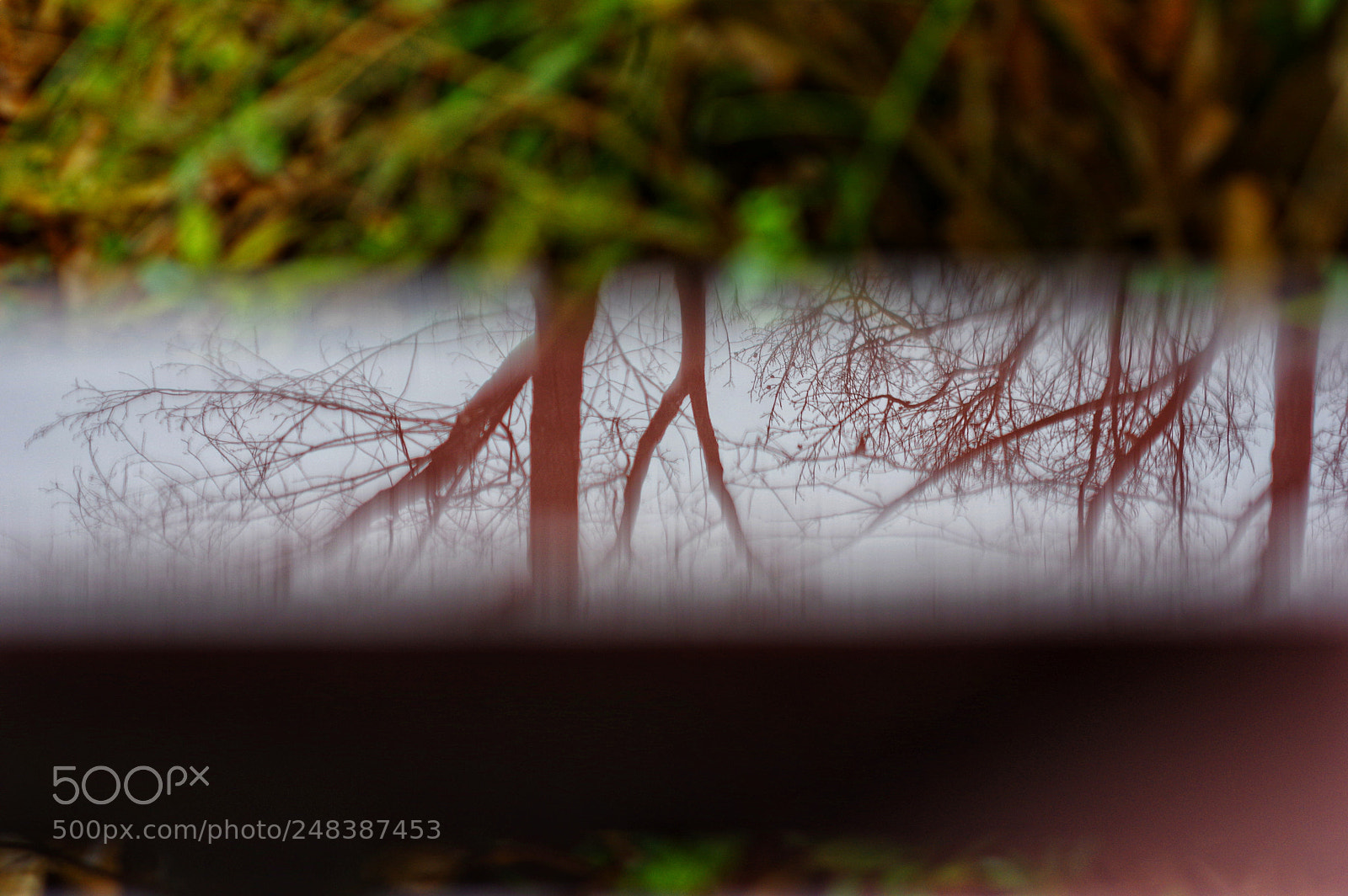 Pentax K-3 II sample photo. Untitled photography