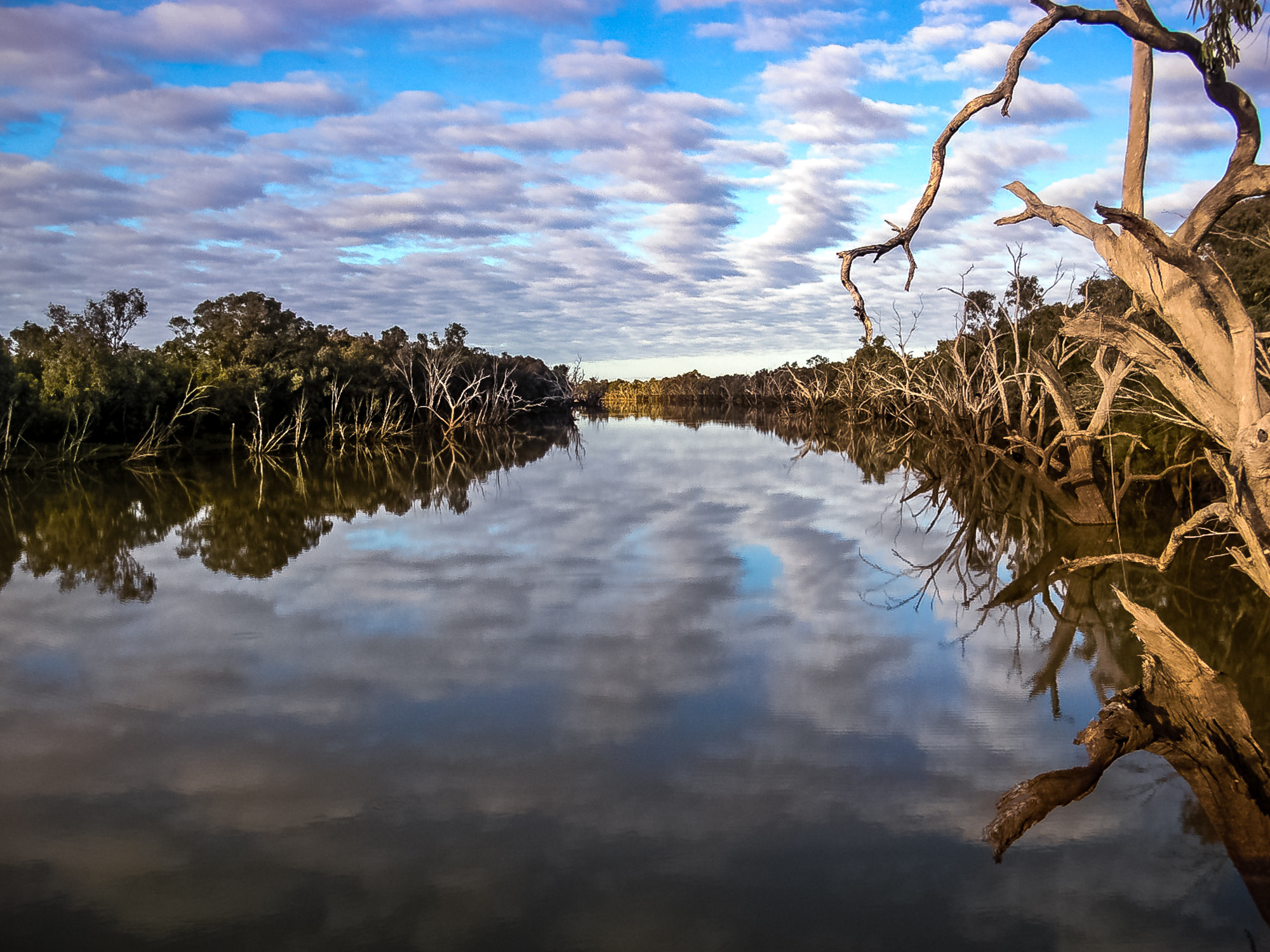 CASIO EX-S10 sample photo. Warrego reflections photography