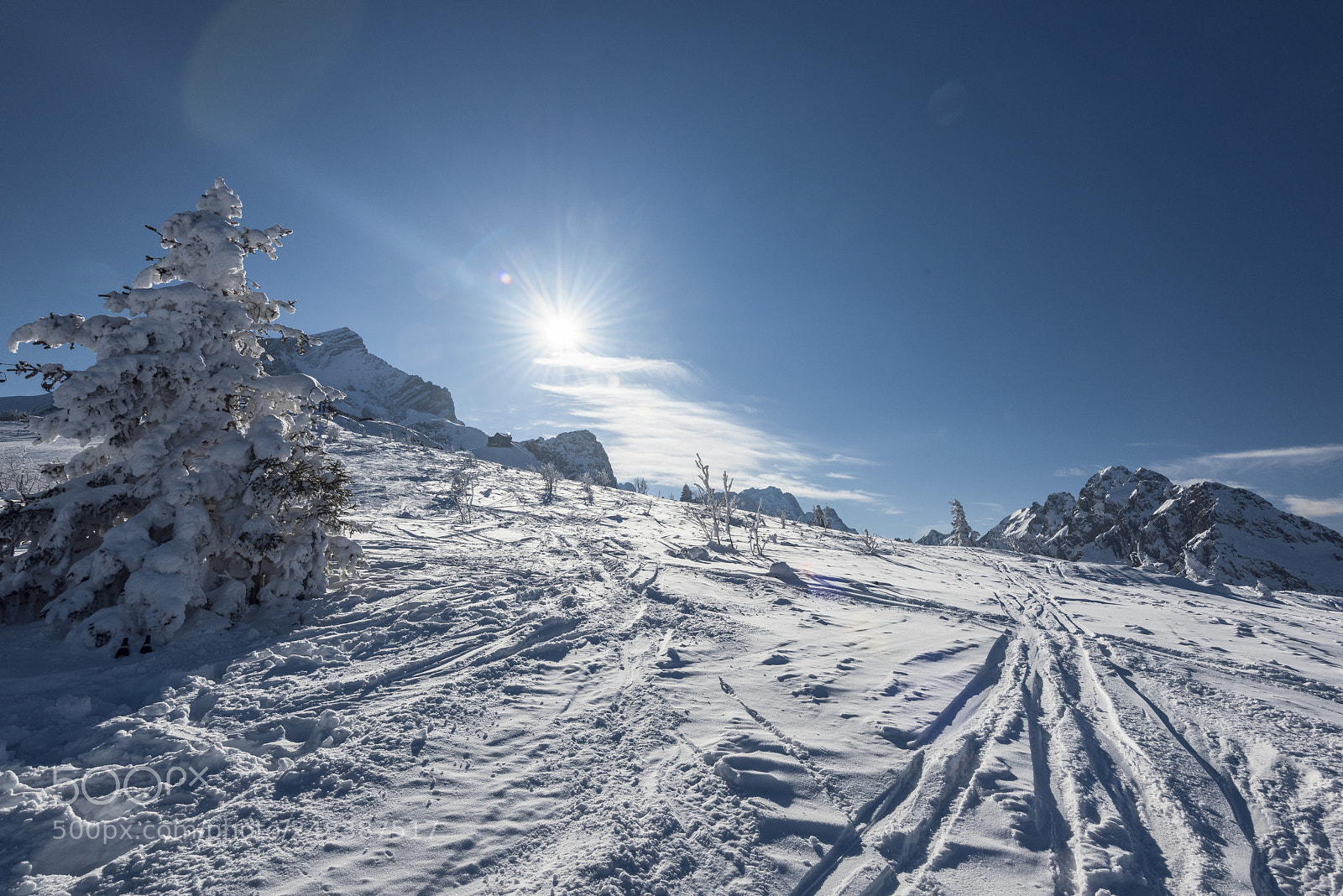 Nikon D810 sample photo. Winterday photography