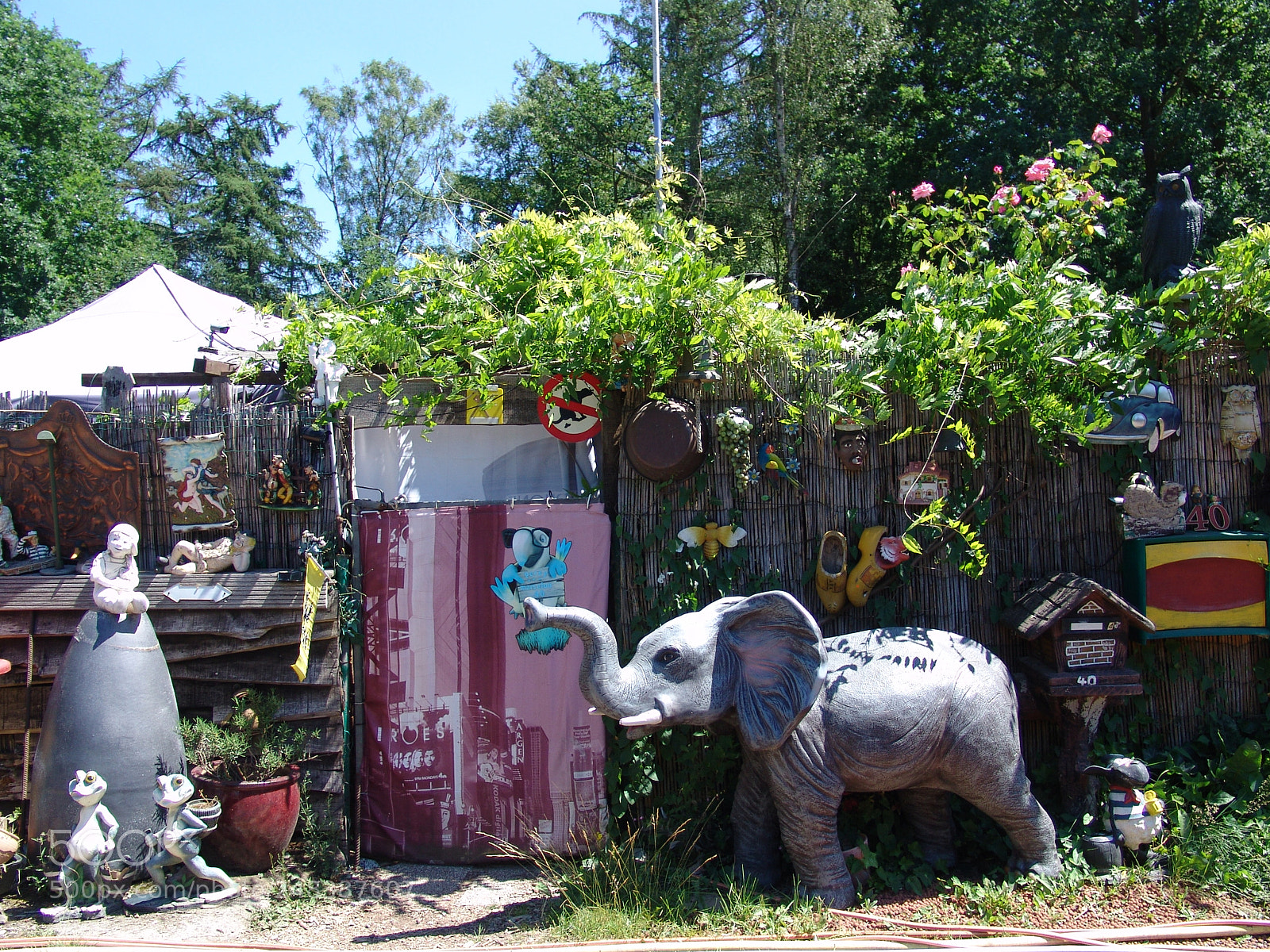 Sony DSC-F828 sample photo. Plastic jungle photography