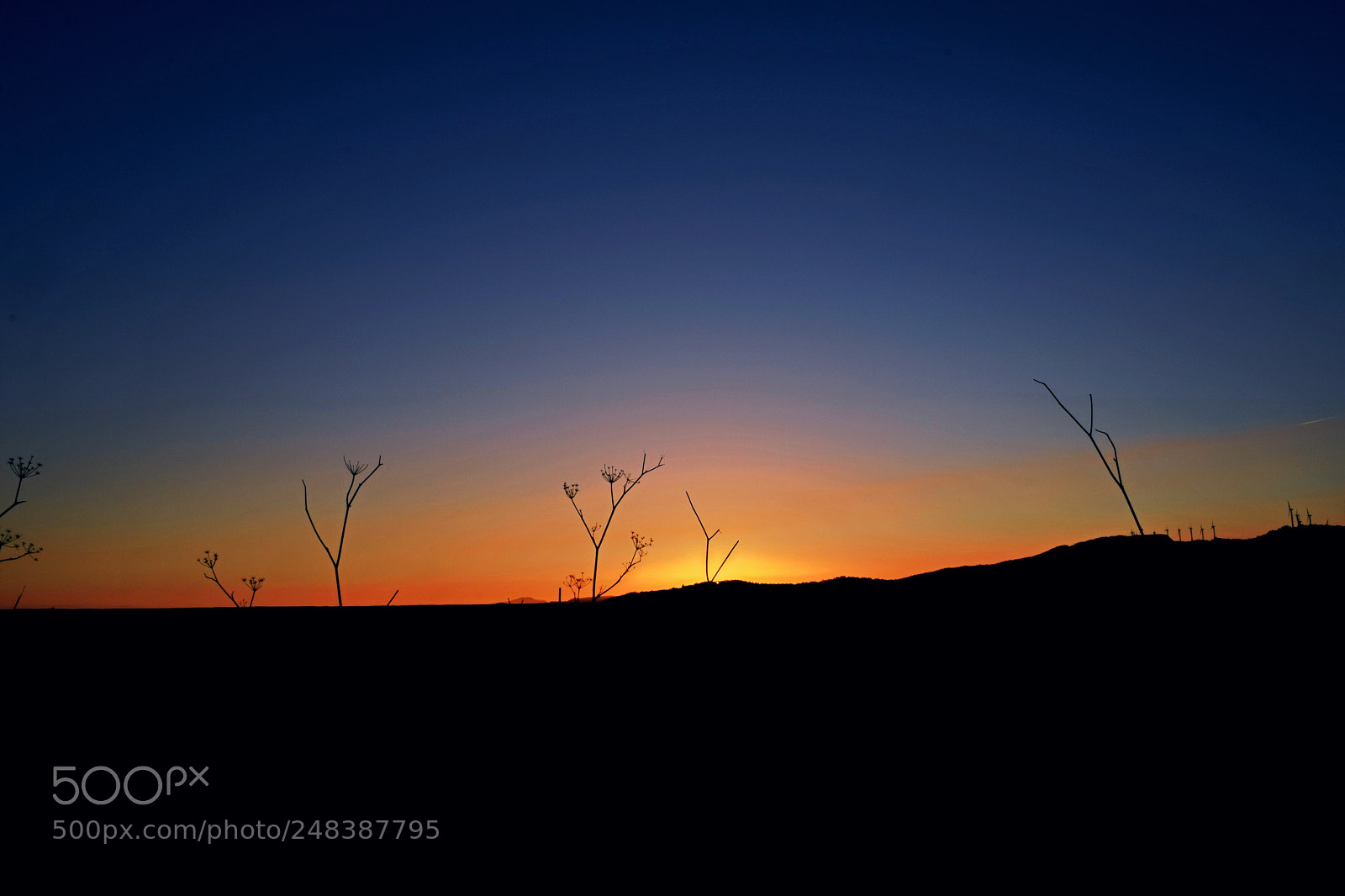 Nikon D5300 sample photo. Siluetas al atardecer photography