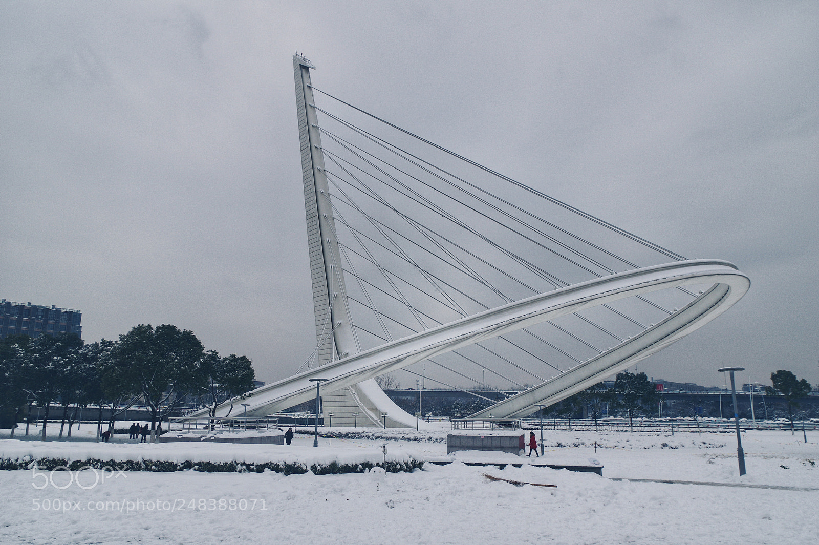 Pentax K-3 II sample photo. Untitled photography