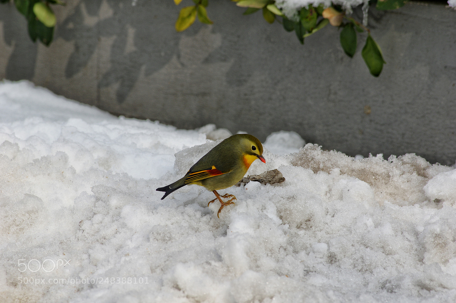 Pentax K-3 II sample photo. Untitled photography